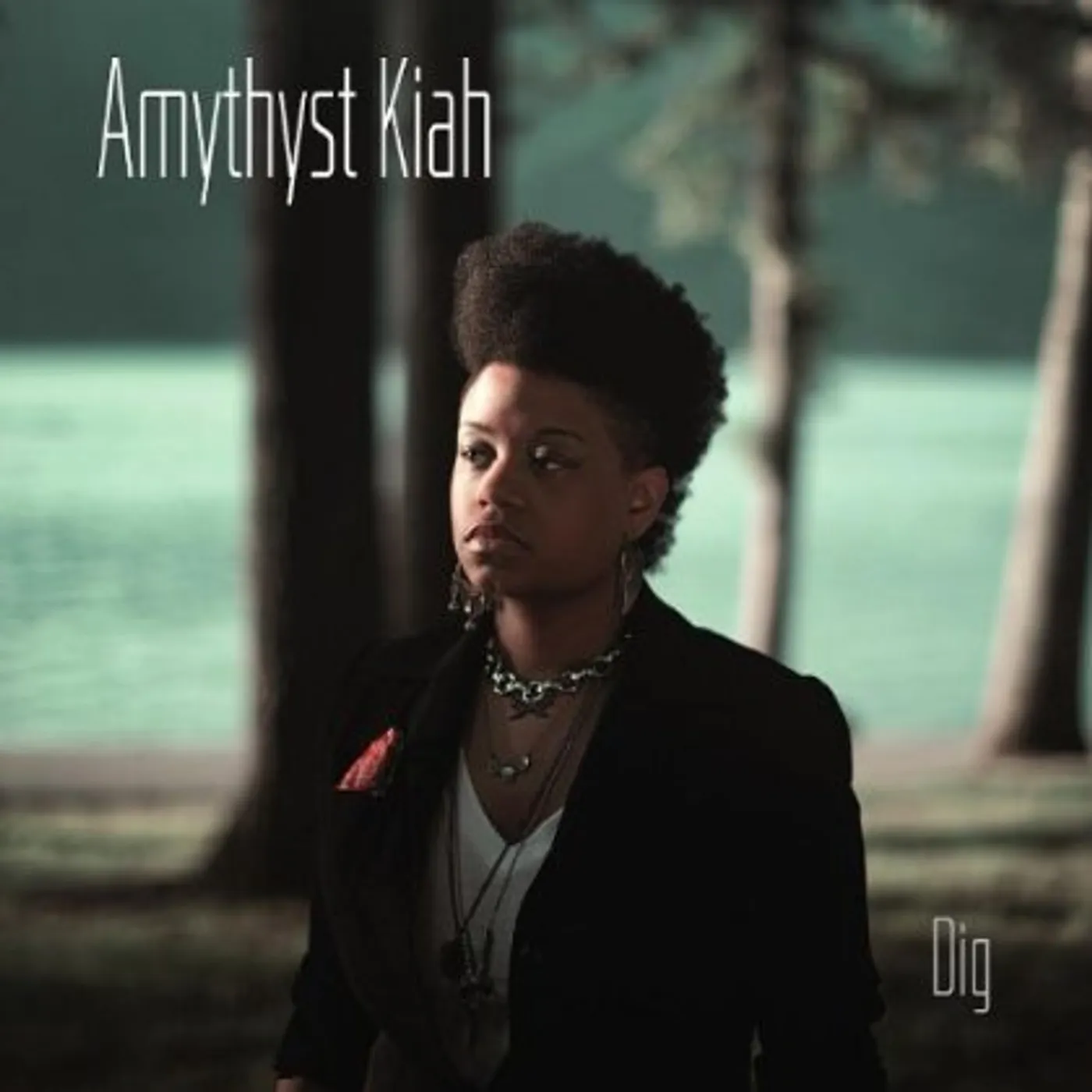 Amythyst Kiah DIG CD