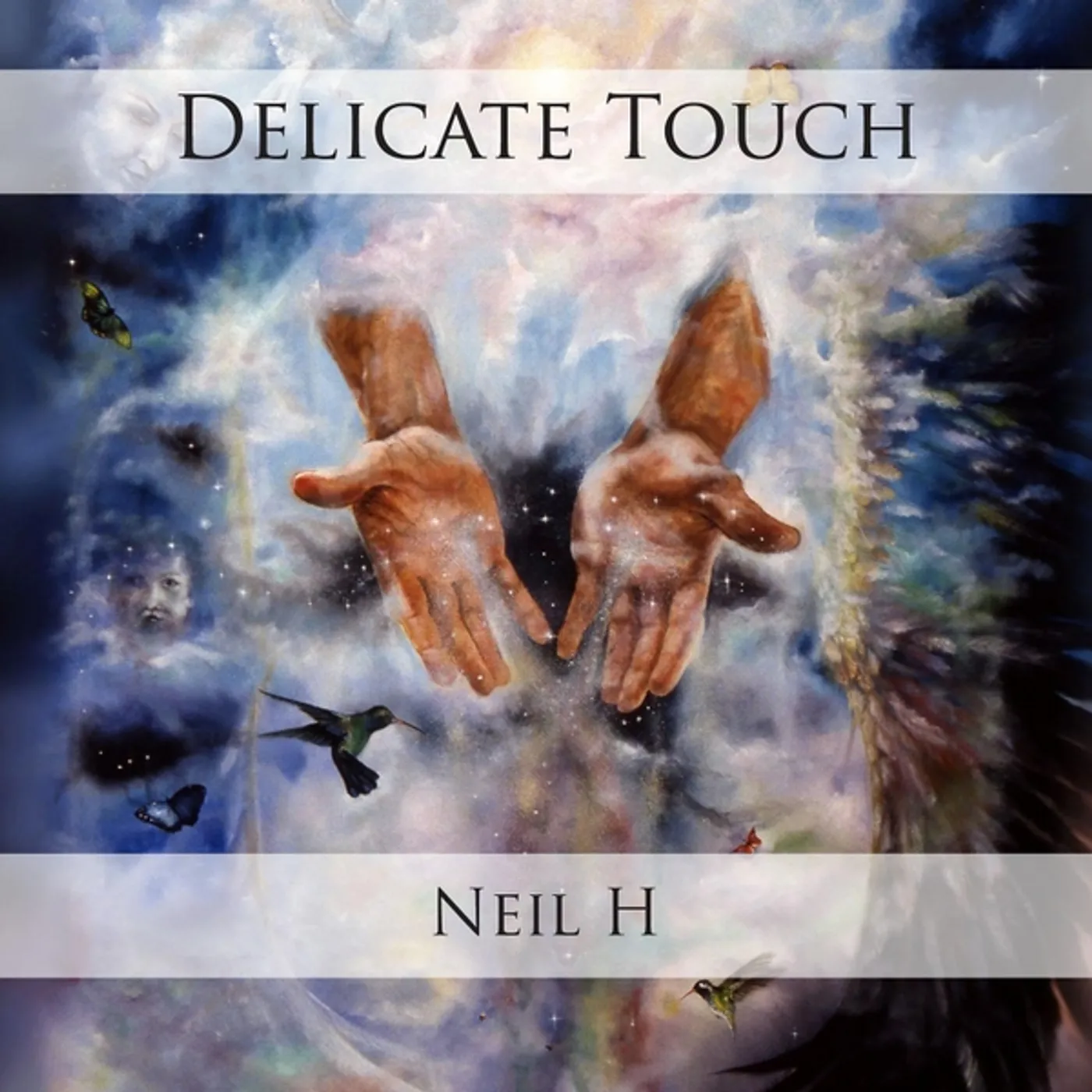 Neil H DELICATE TOUCH CD