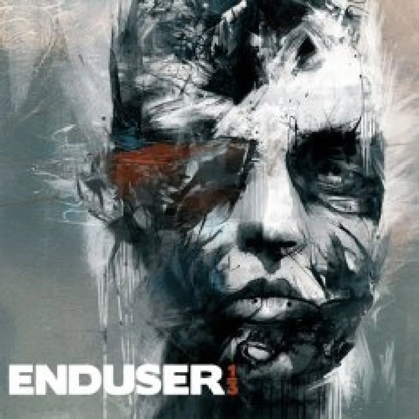 Enduser 1/3 Vinyl Record