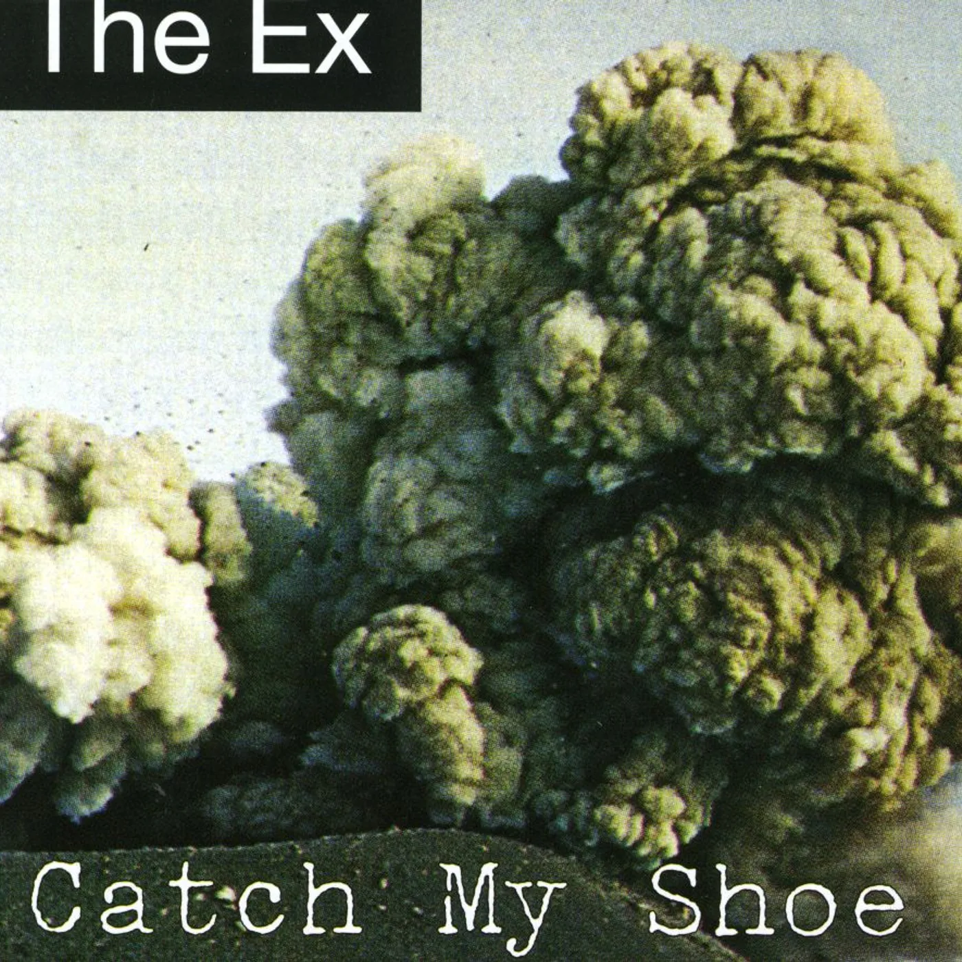 Ex CATCH MY SHOE CD