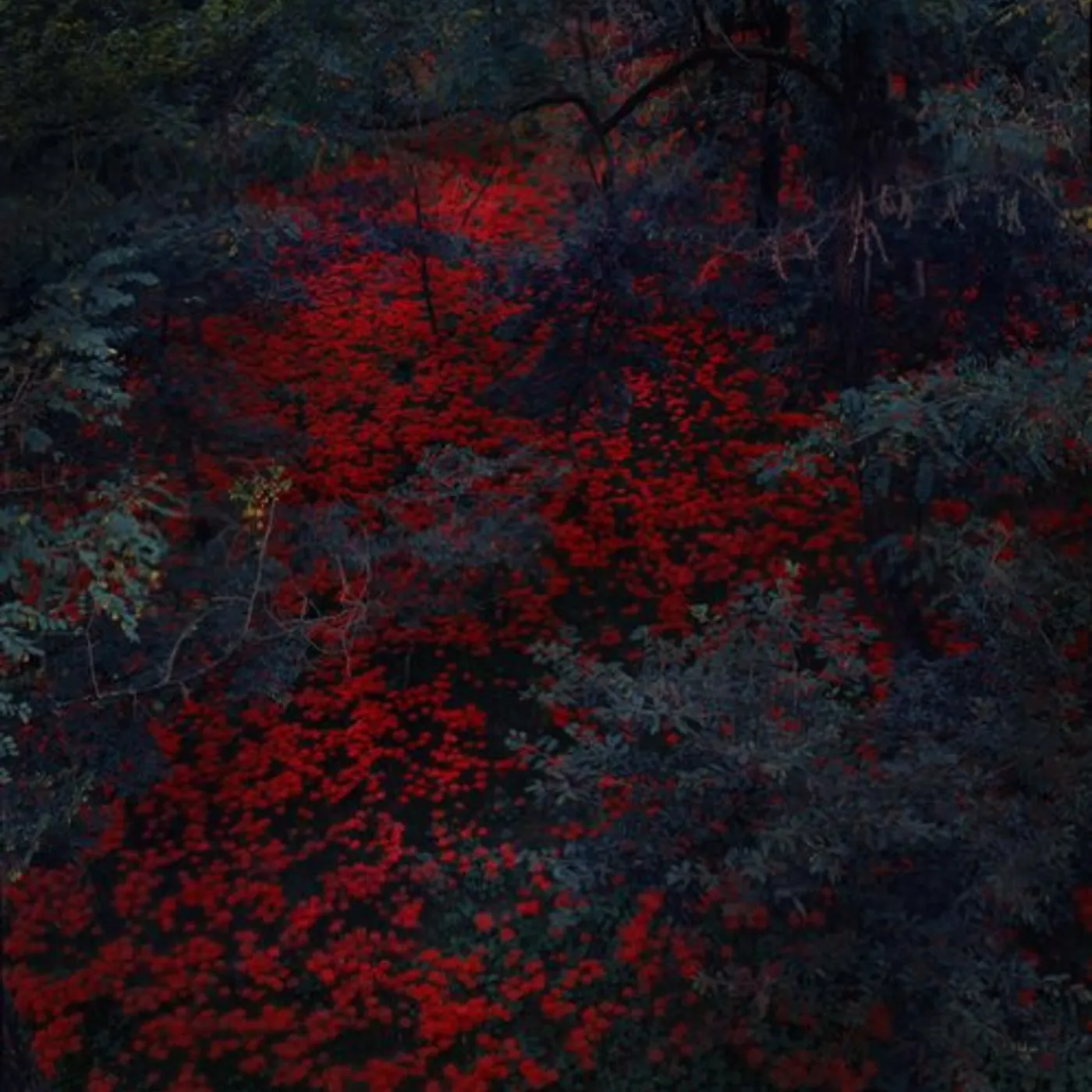 Alex Cobb Marigold And Cable Vinyl Record