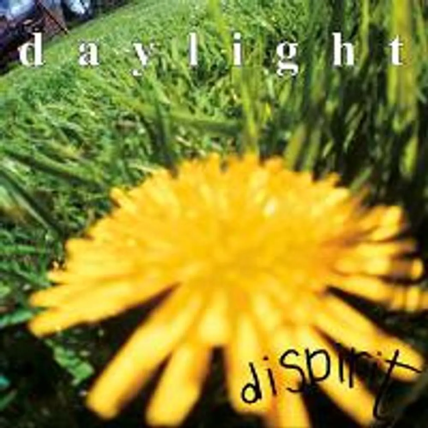 Daylight Dispirit Vinyl Record