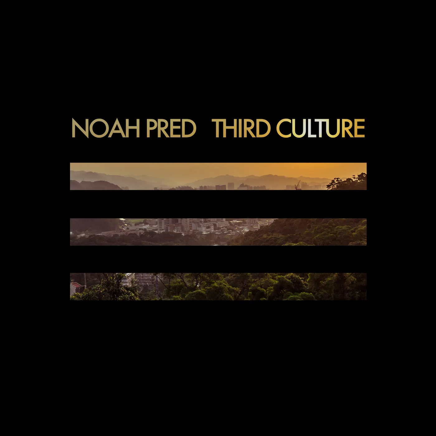 Noah Pred Third Culture Vinyl Record