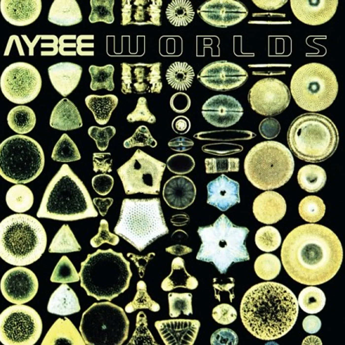 Aybee Worlds Vinyl Record