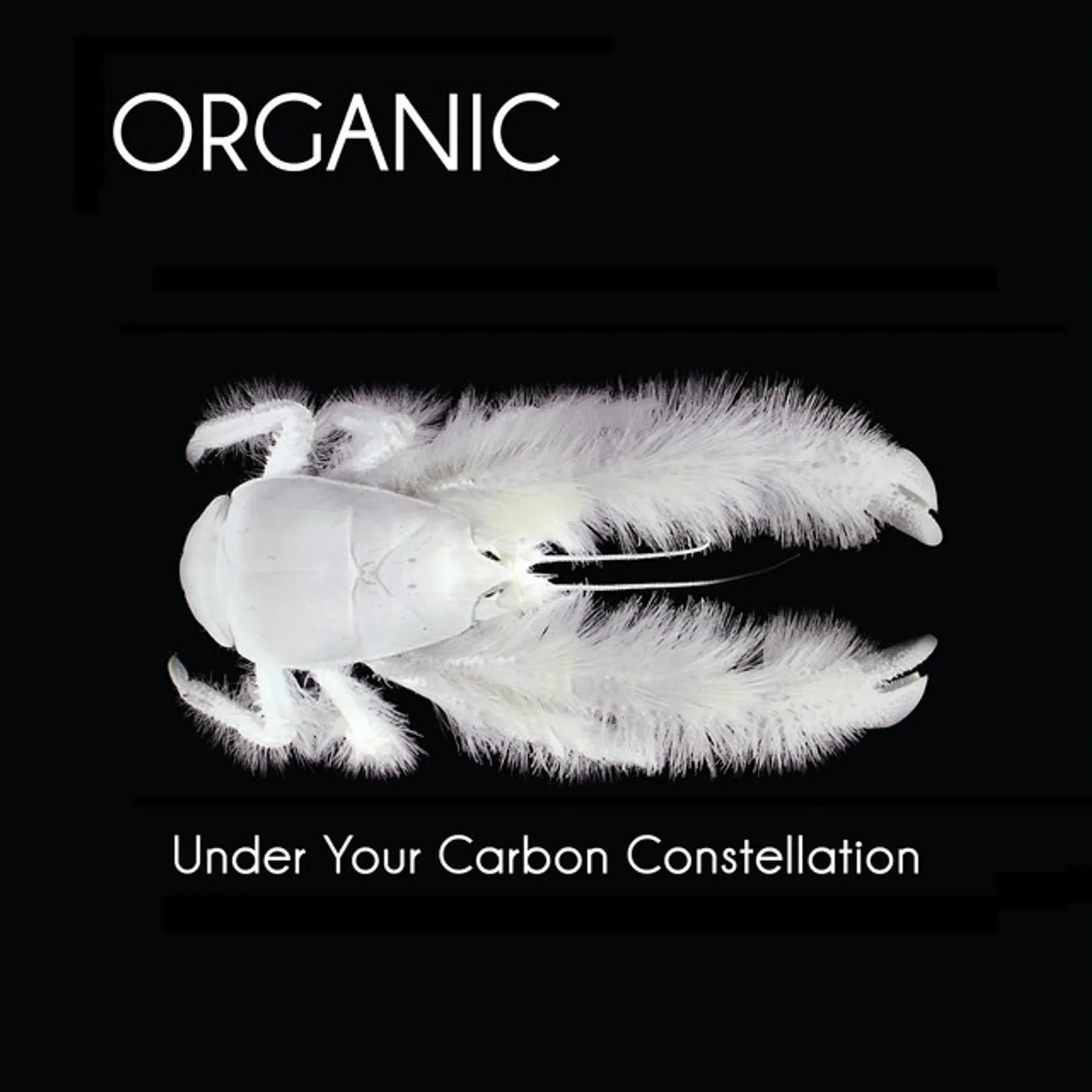 Organic Under Your Carbon Constellation Vinyl Record