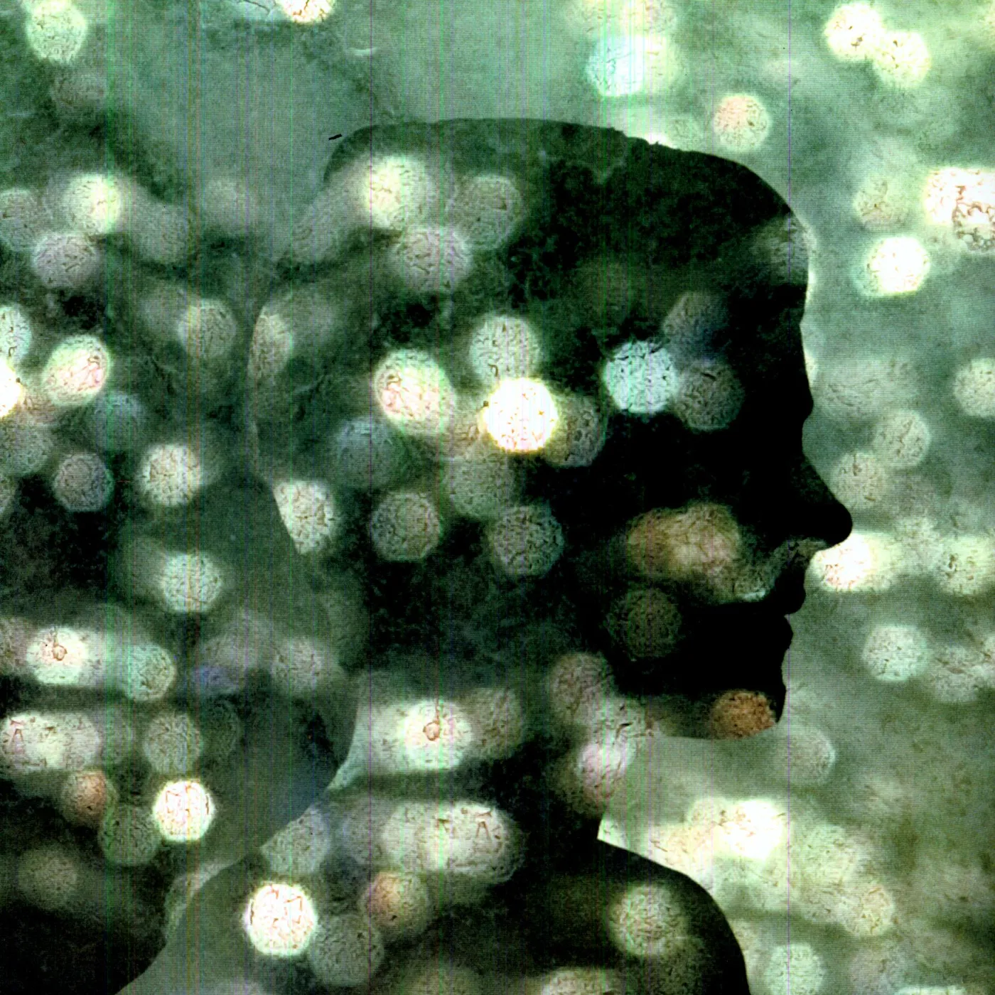 Benoît Pioulard 59961 TEMPER Vinyl Record