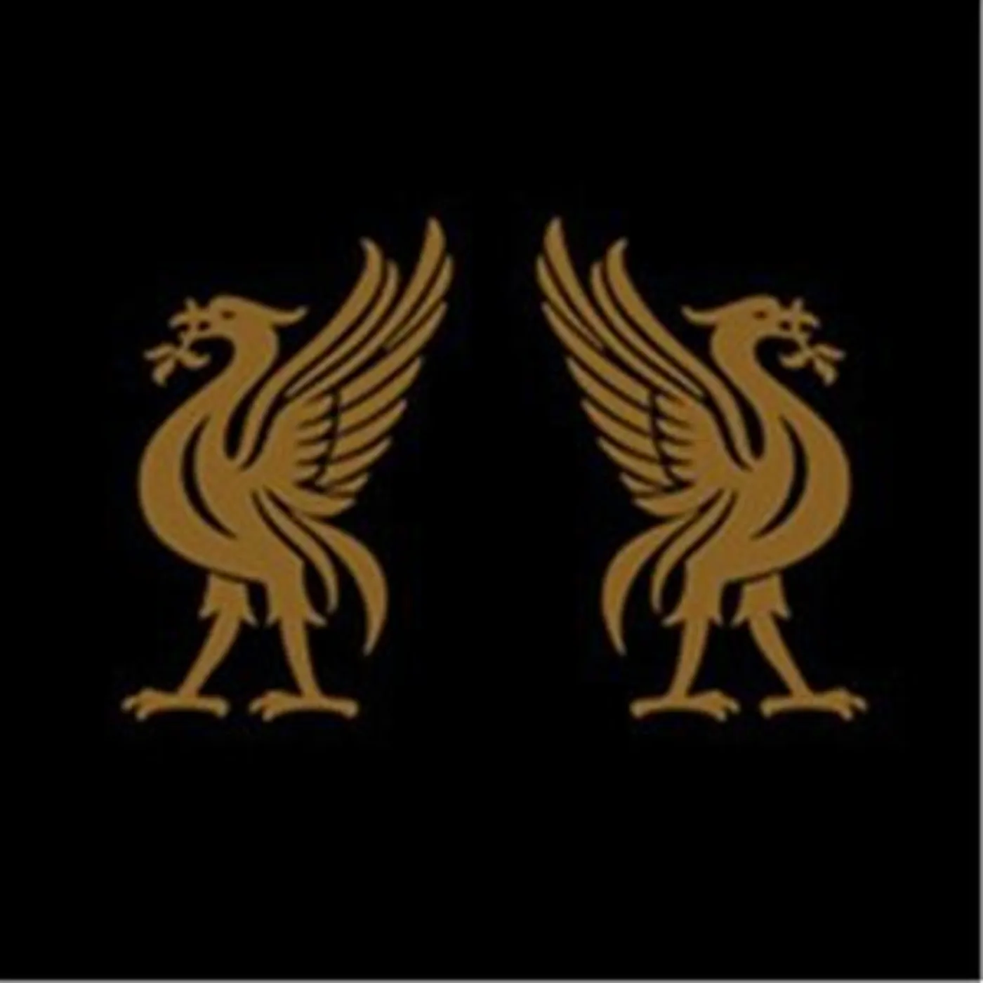 Joey Cape Liverbirds Vinyl Record