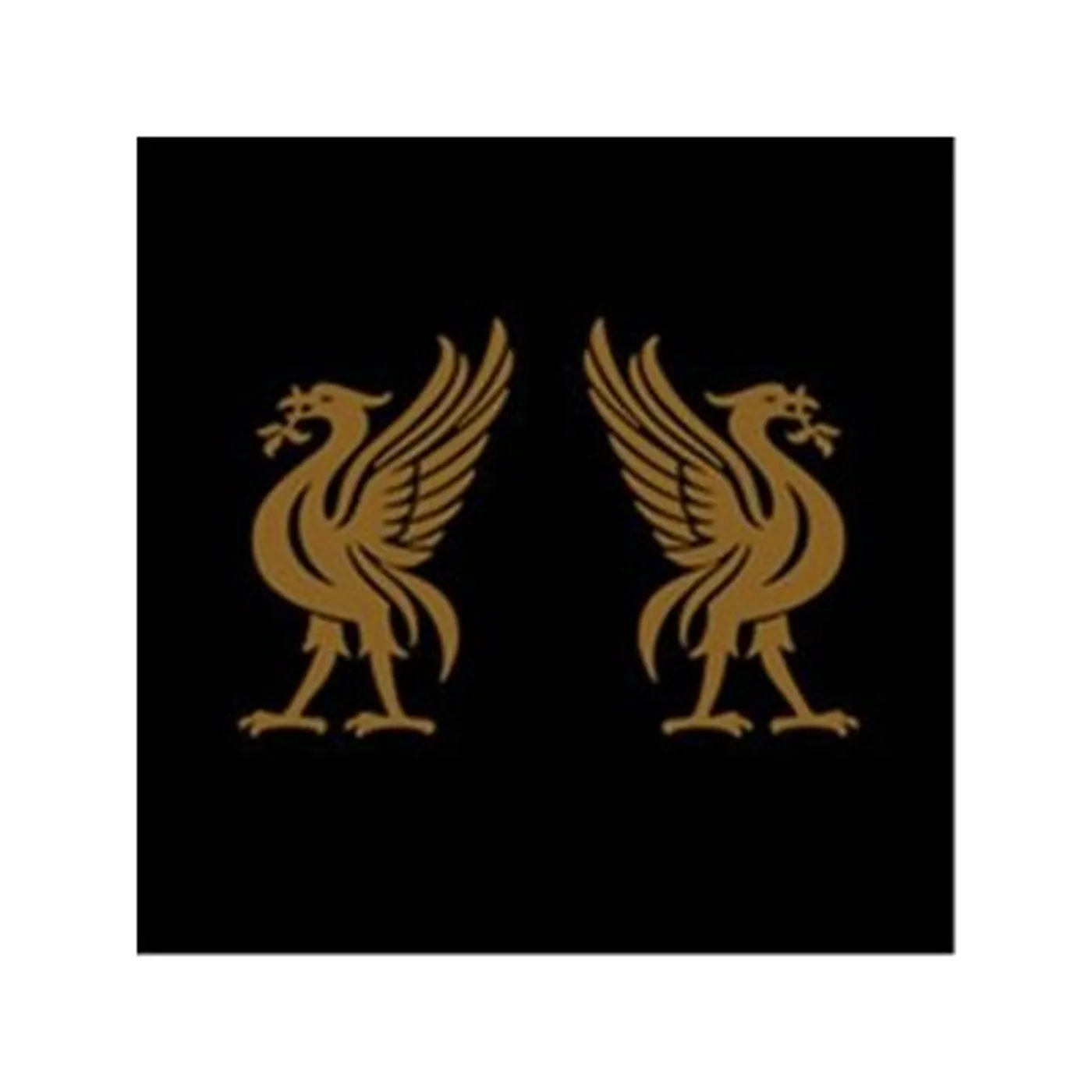 Joey Cape & Jon Snodgrass LIVERBIRDS CD