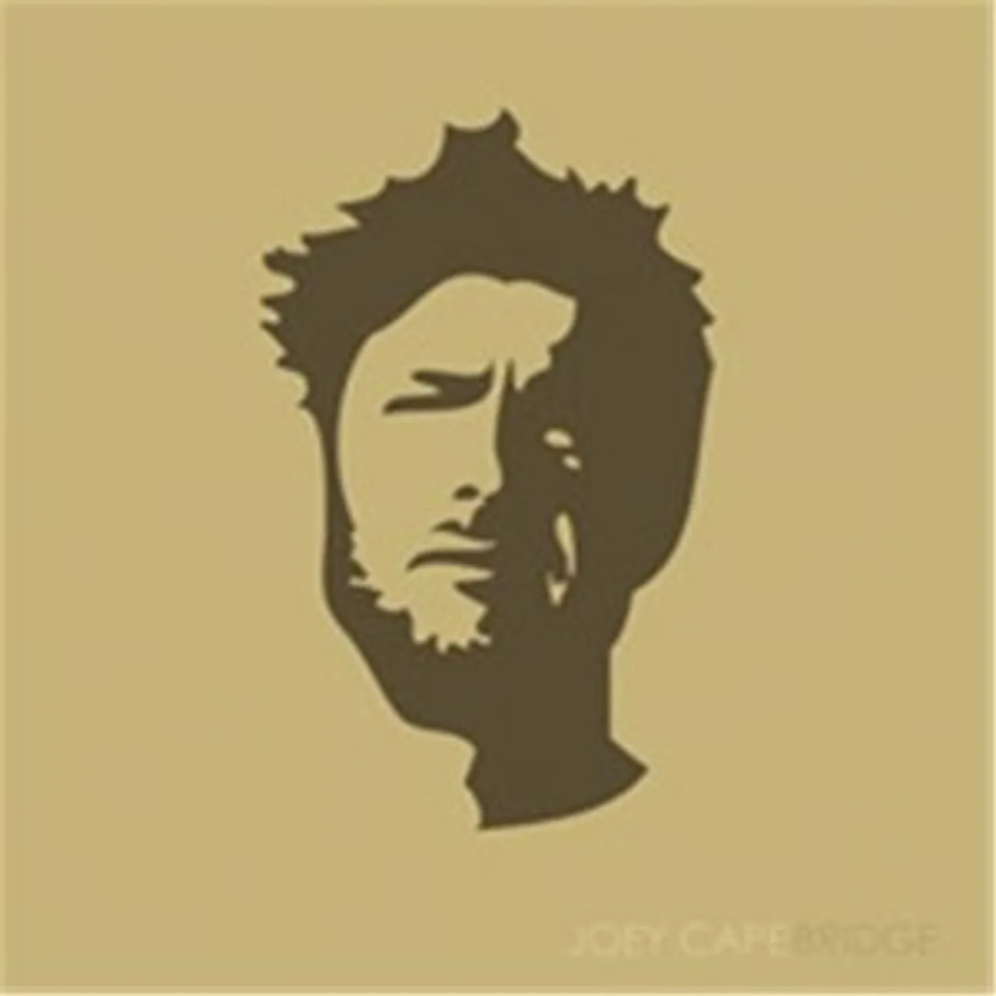 Joey Cape Bridge Vinyl Record