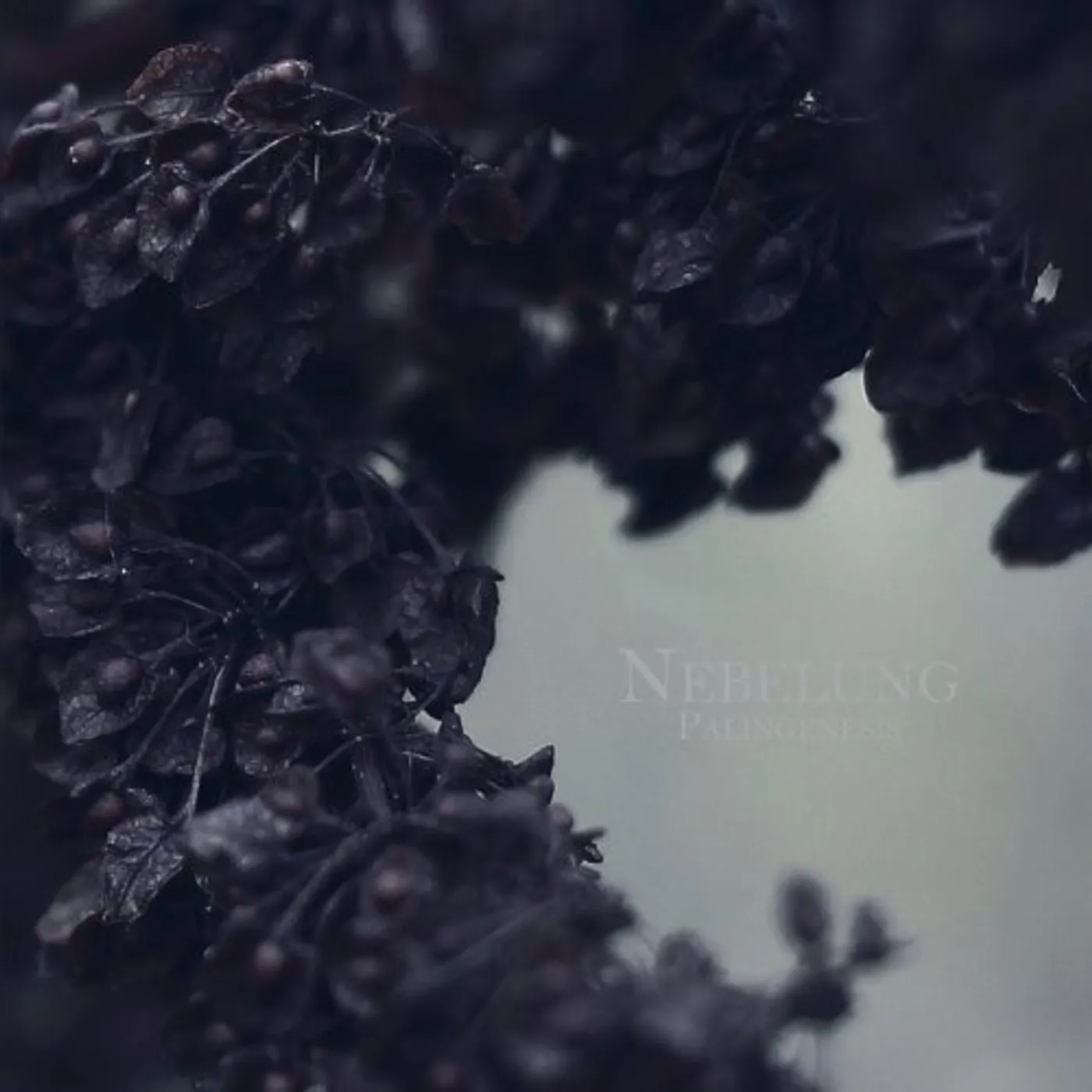 Nebelung Palingenesis Vinyl Record