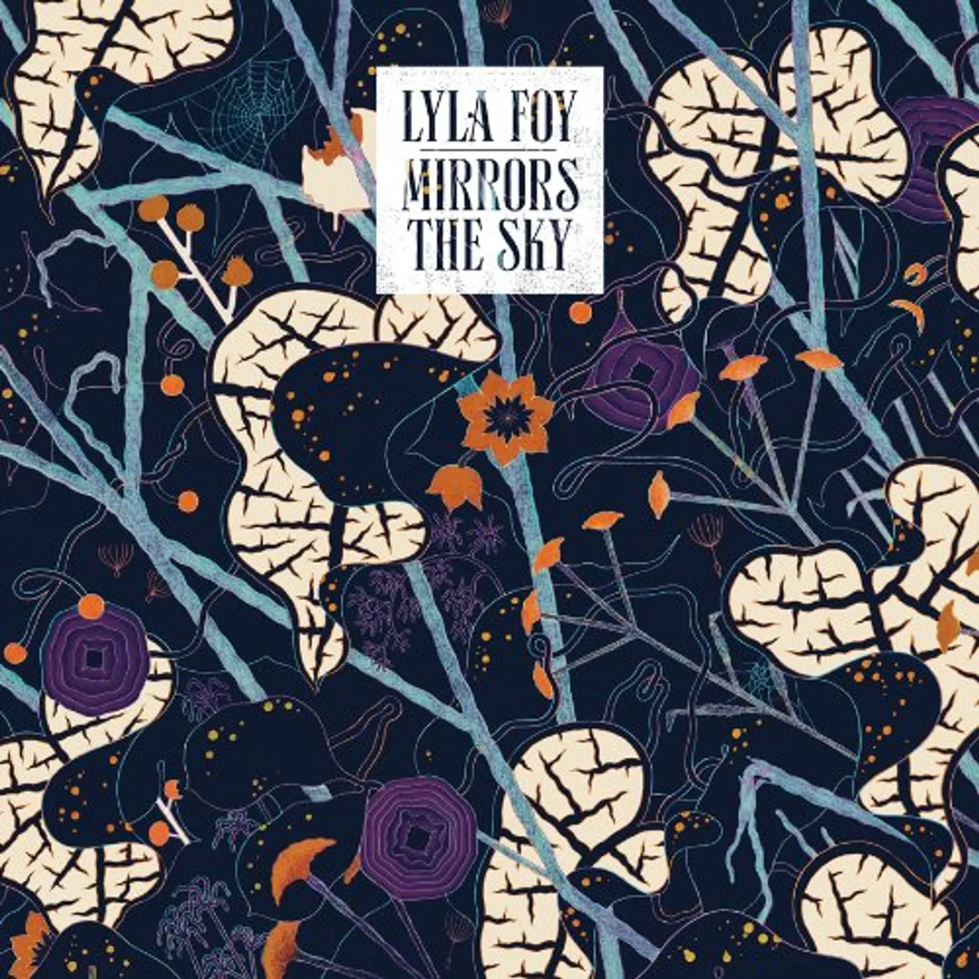 Lyla Foy MIRRORS THE SKY CD
