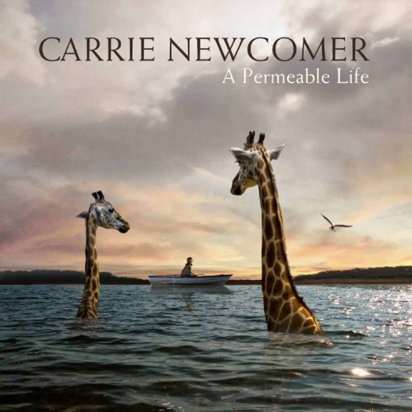 Carrie Newcomer PERMEABLE LIFE CD