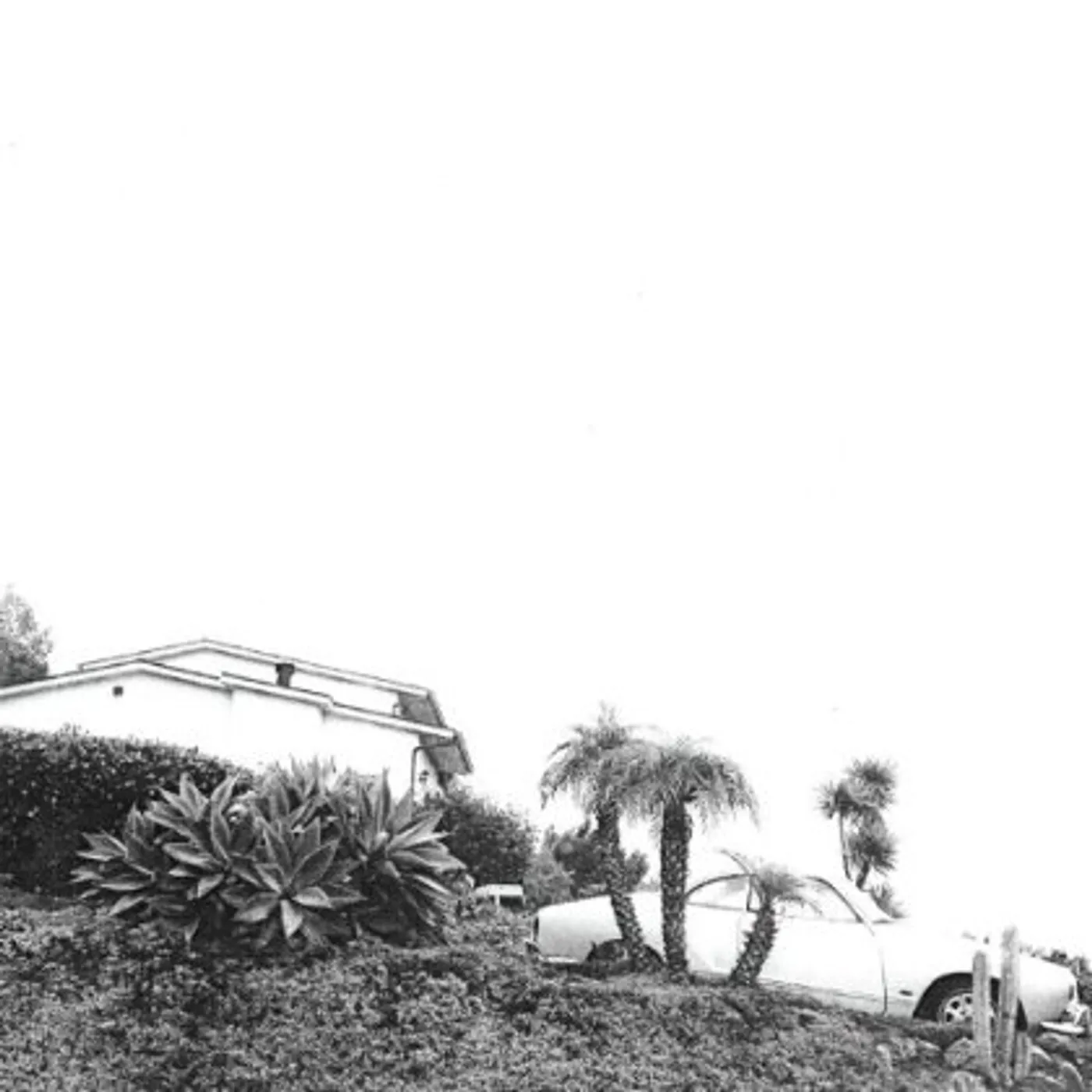 Timber Timbre HOT DREAMS CD