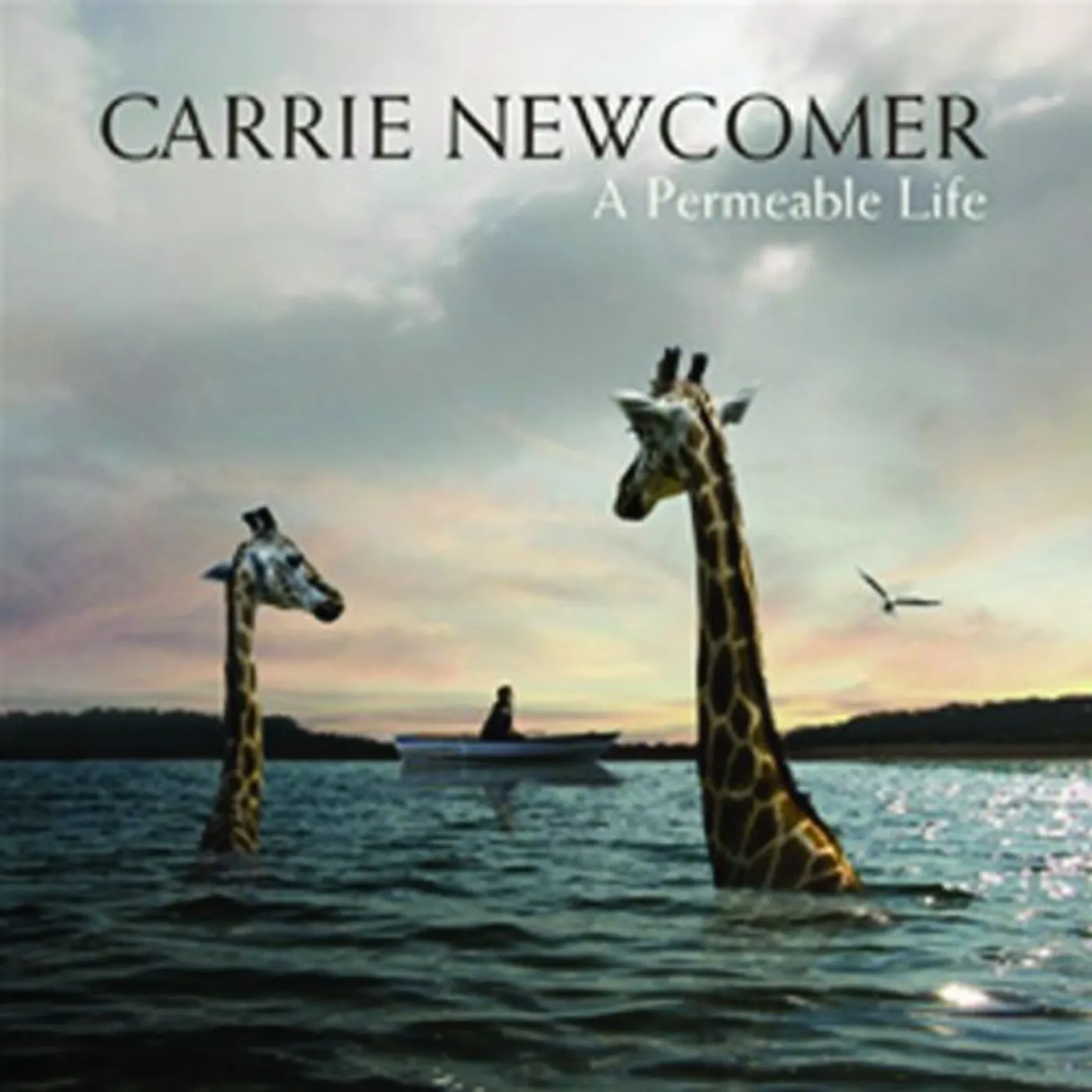 Carrie Newcomer PERMEABLE LIFE Vinyl Record