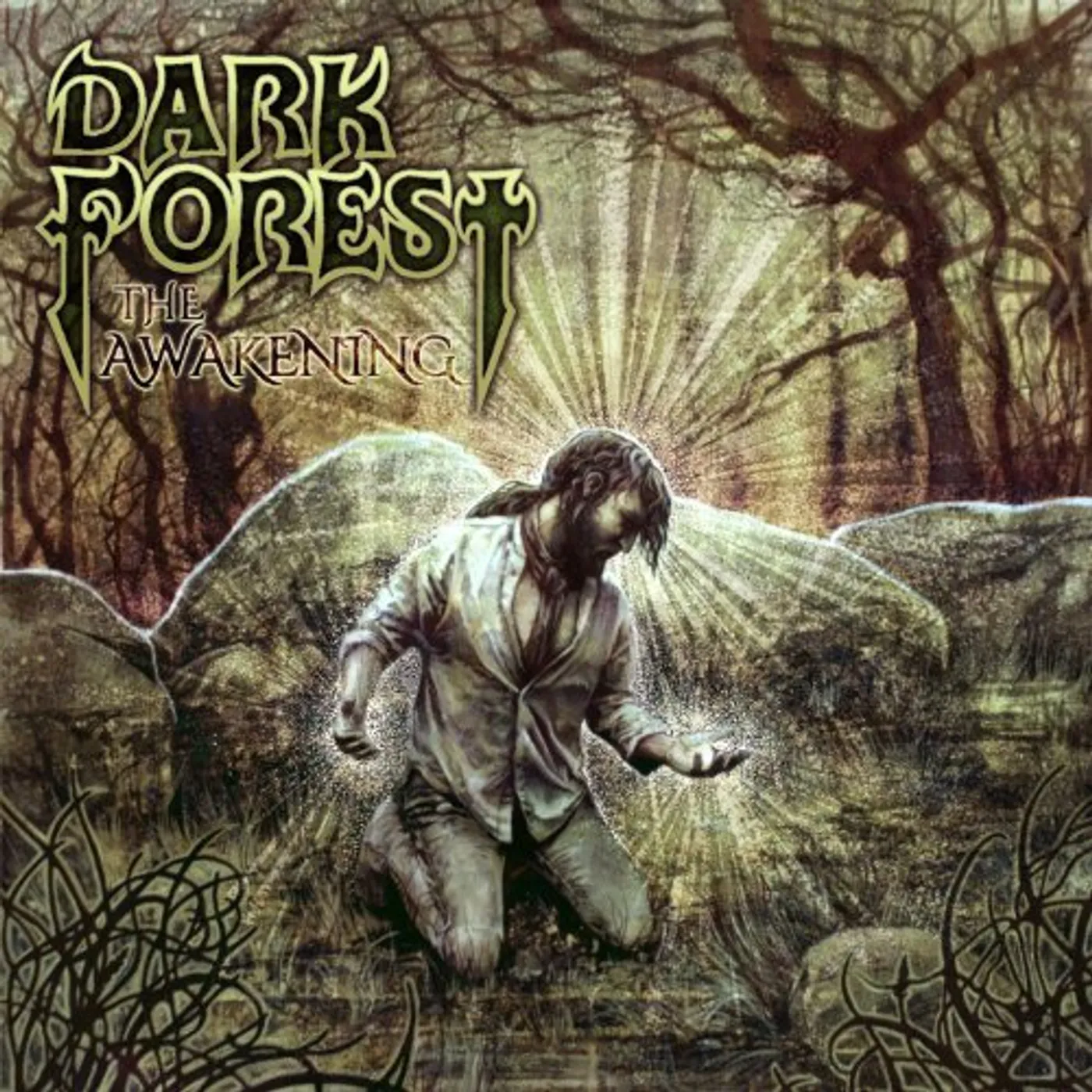 Dark Forest AWAKENING Vinyl Record