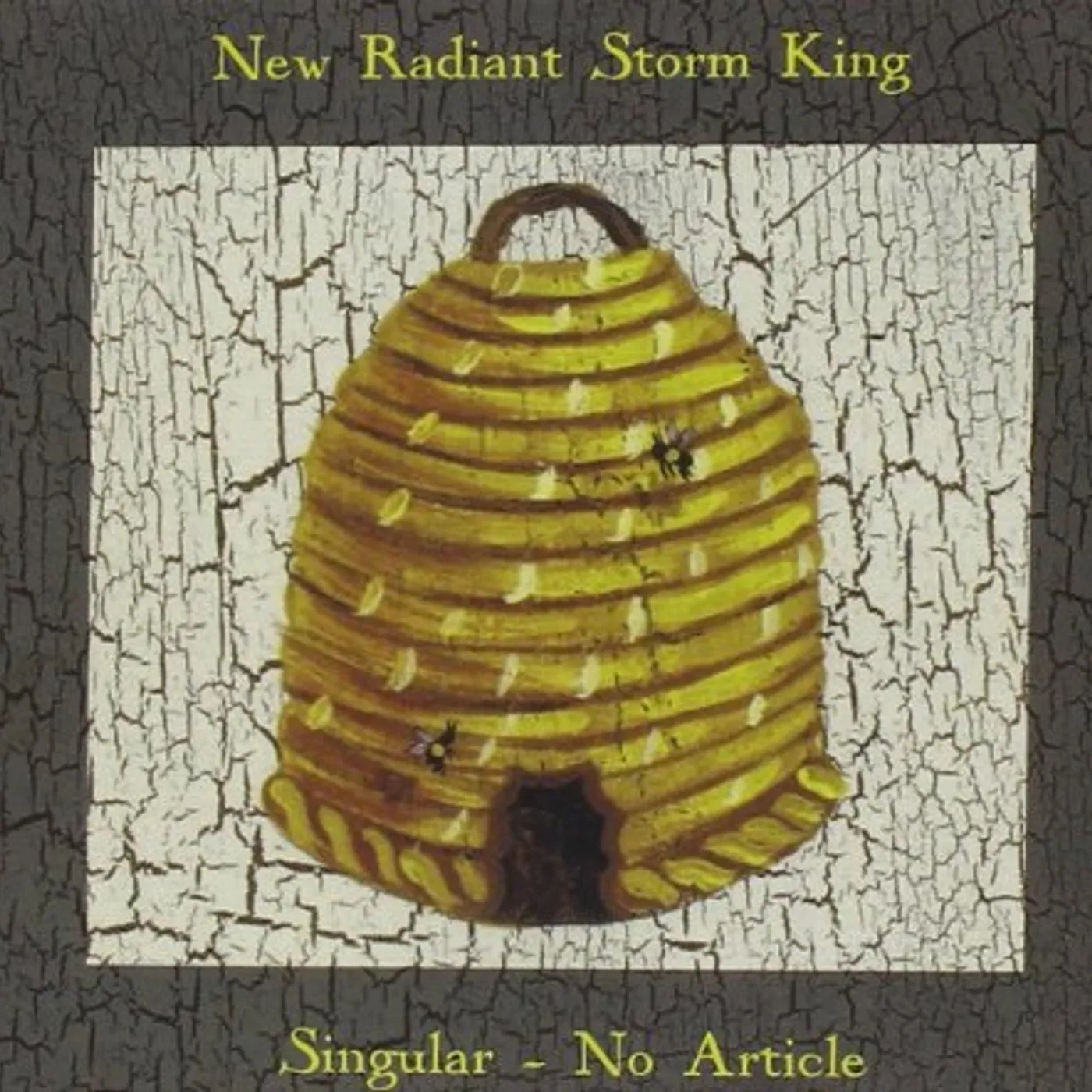New Radiant Storm King SINGULAR NO ARTICLE CD