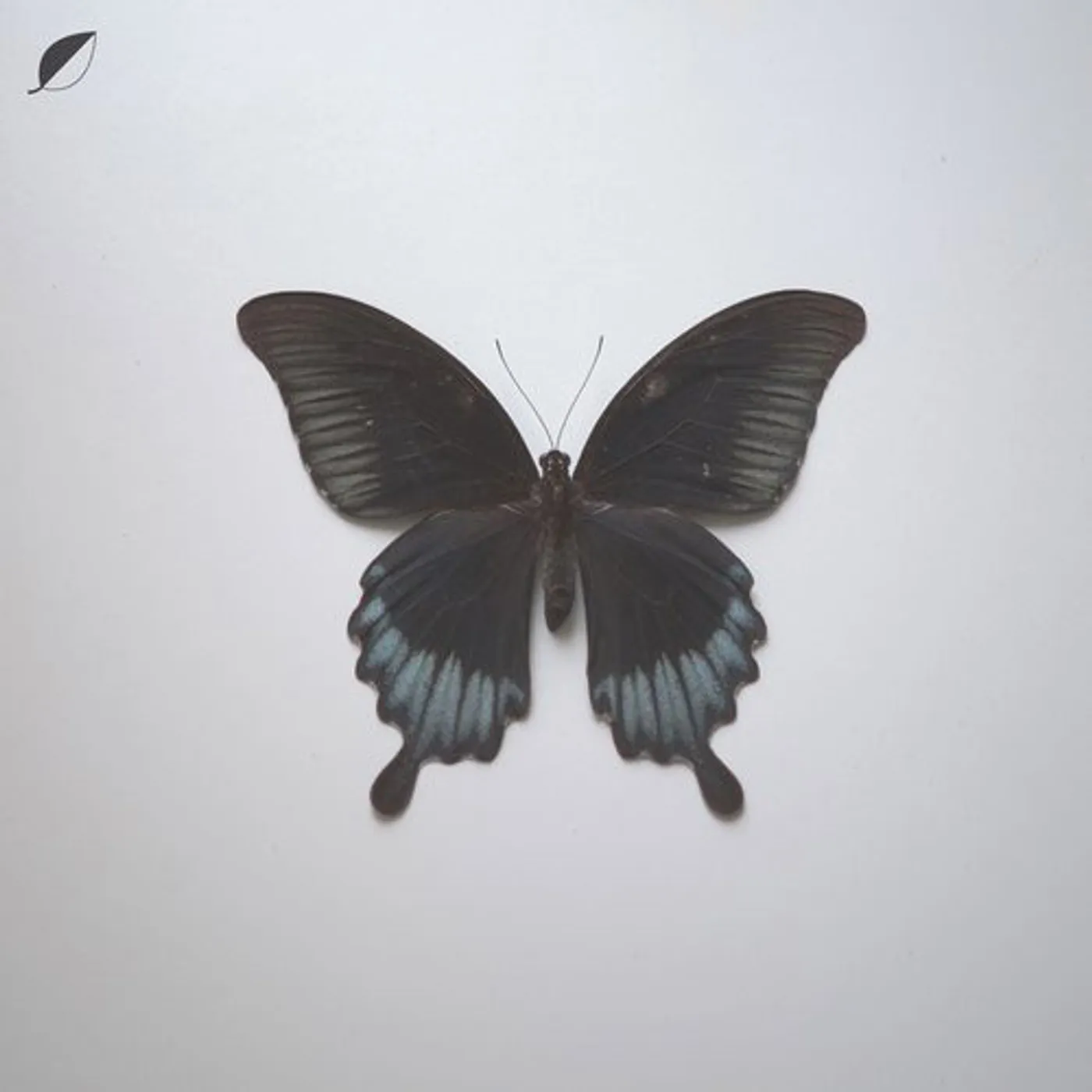 Christian Löffler ALL COMES/NOTES Vinyl Record
