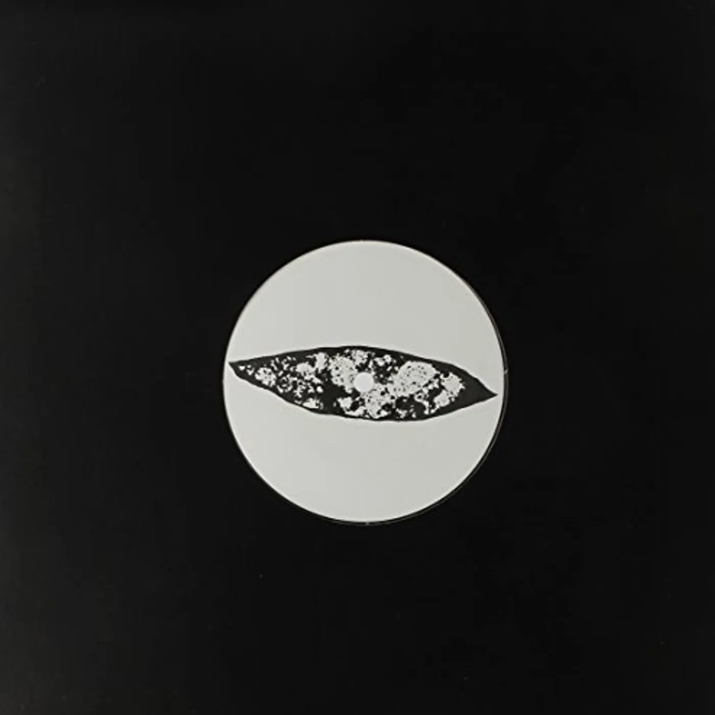 Elon Stab The Slab Vinyl Record