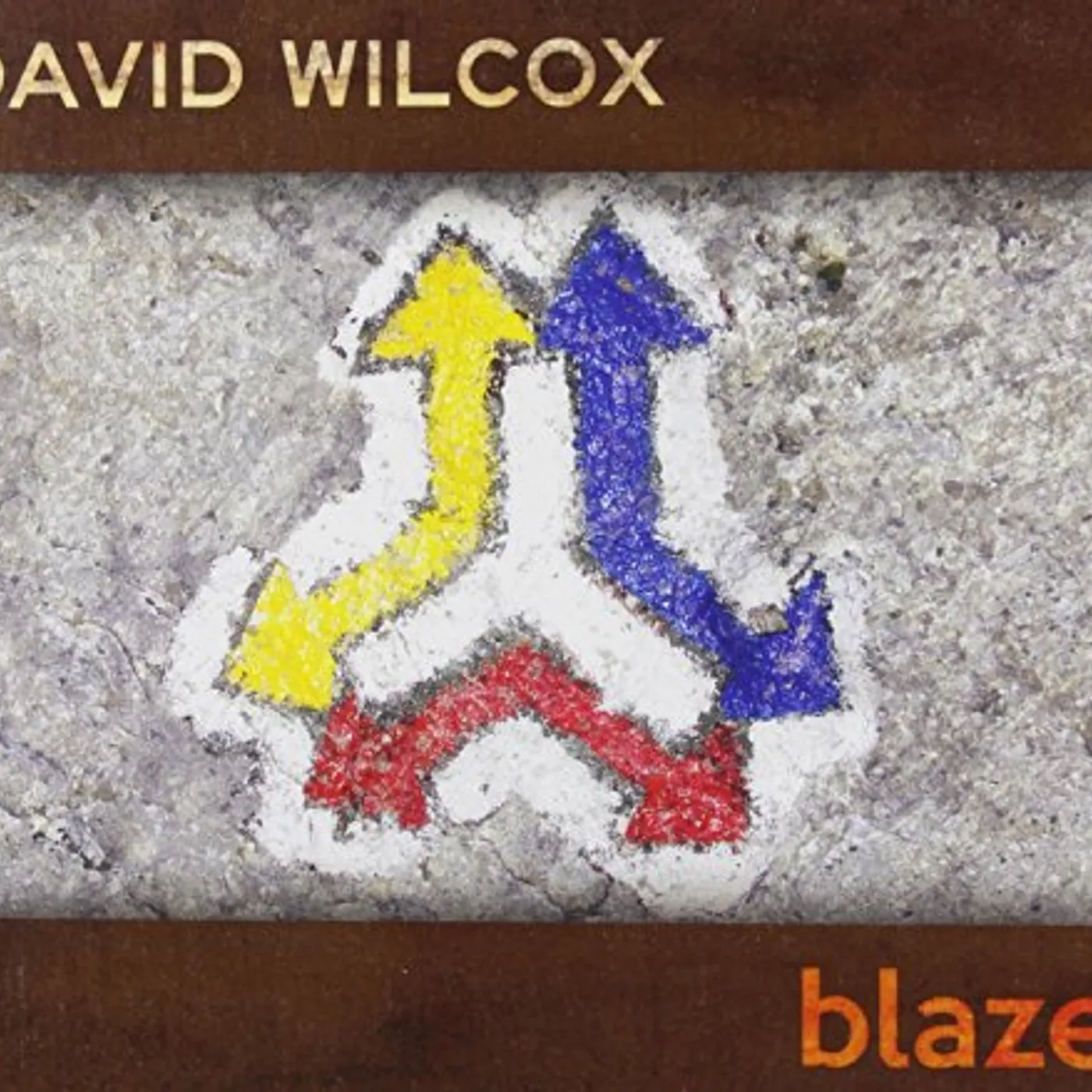David Wilcox BLAZE CD