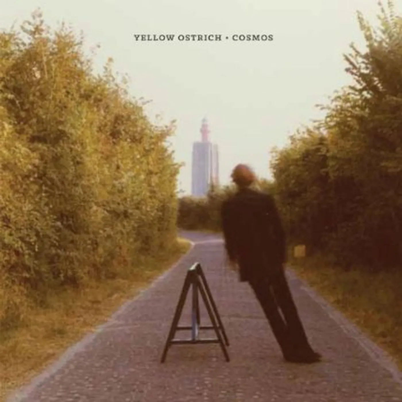 Yellow Ostrich Cosmos Vinyl Record