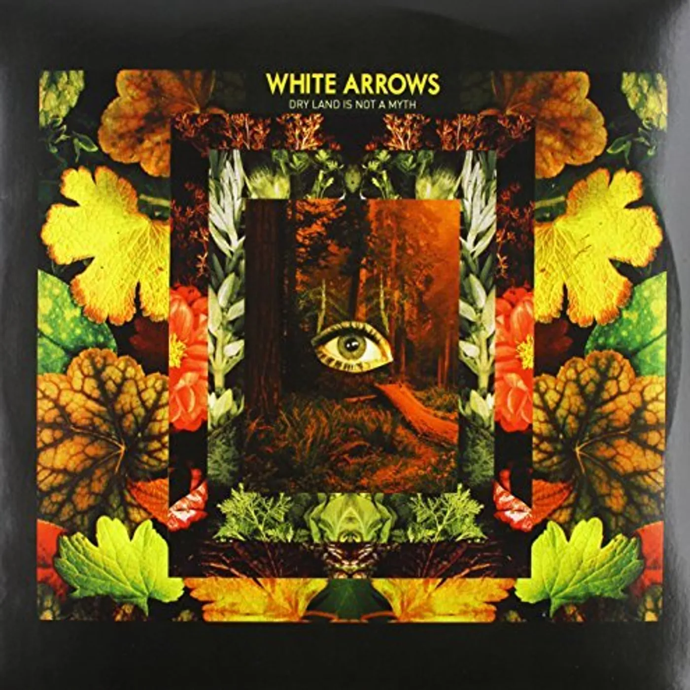 White Arrows Dry Land Is Not A Myth Vinyl Record