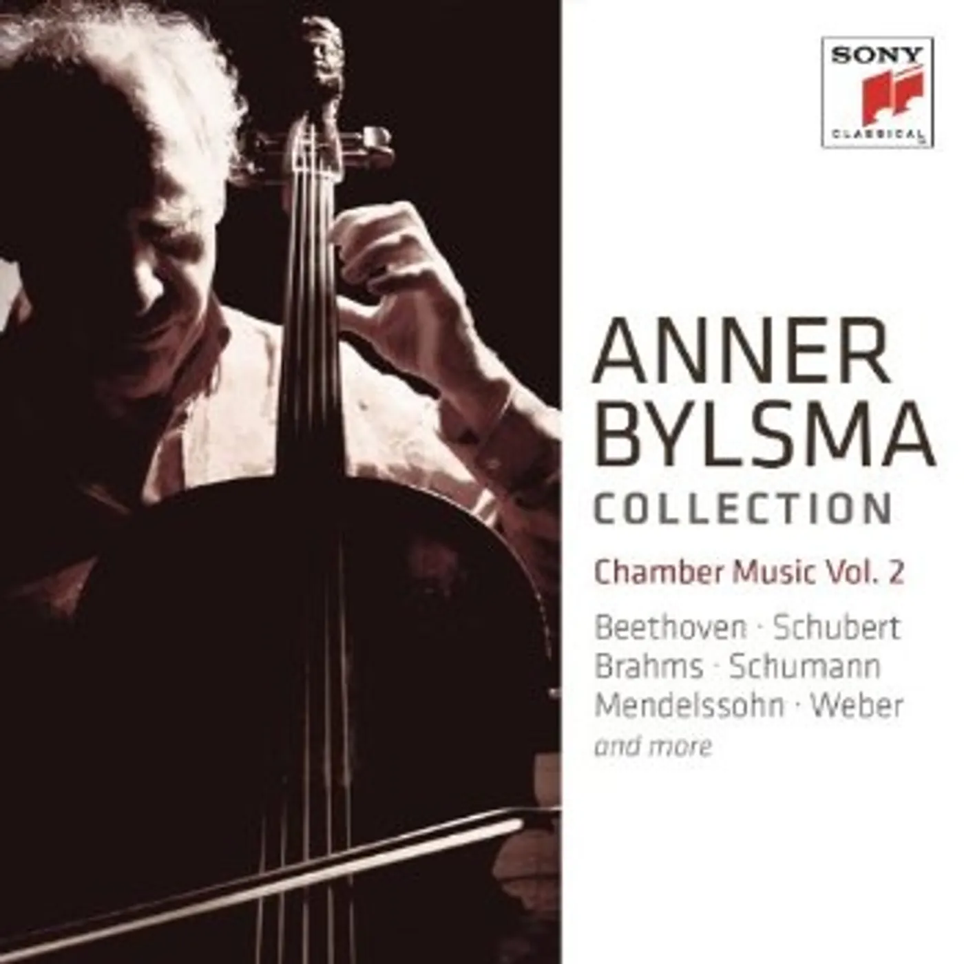 ANNER BYLSMA PLAYS CHAMBER MUSIC 2 CD