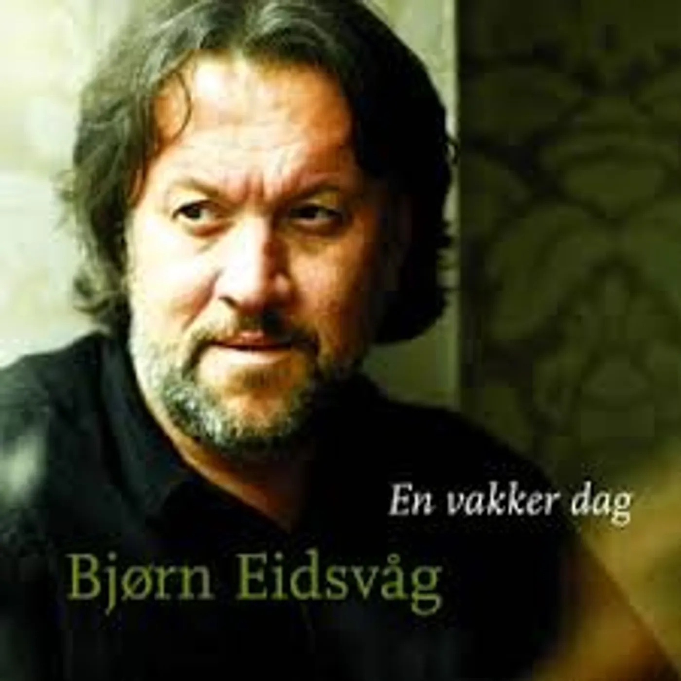 Bjorn Eidsvag EN VAKKER DAG CD