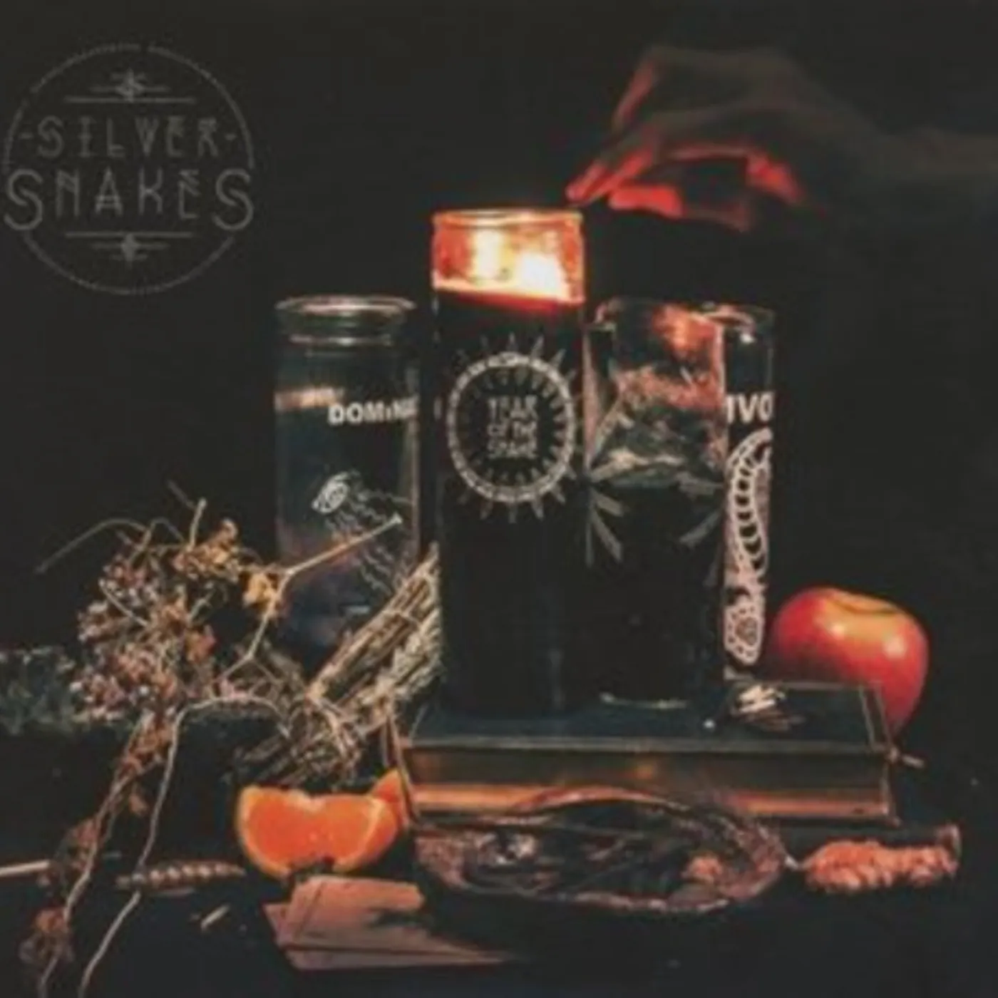 Silver Snakes YEAR OF THE SNAKE CD