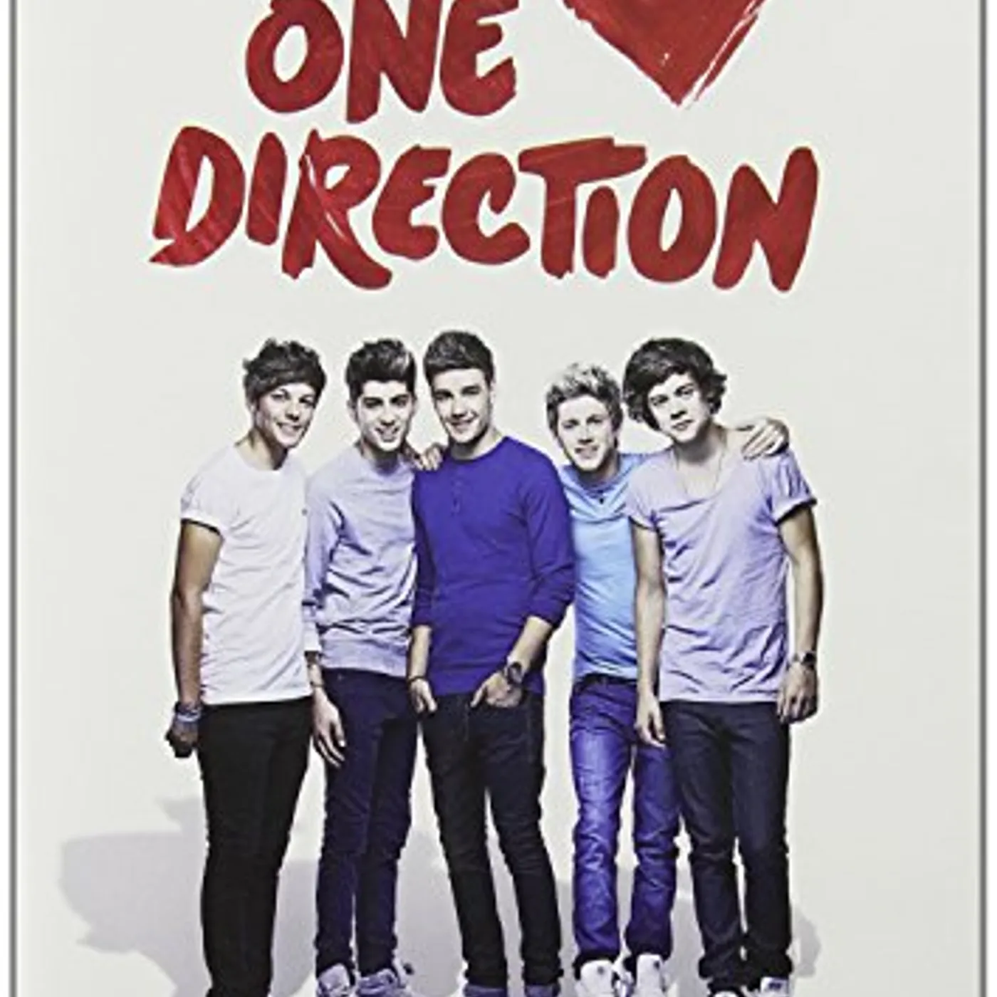 WE LOVE ONE DIRECTION DVD