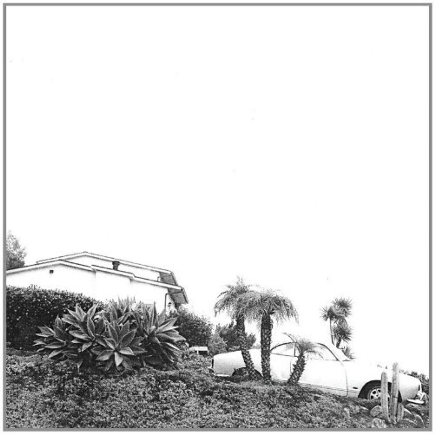 Timber Timbre Hot Dreams Vinyl Record
