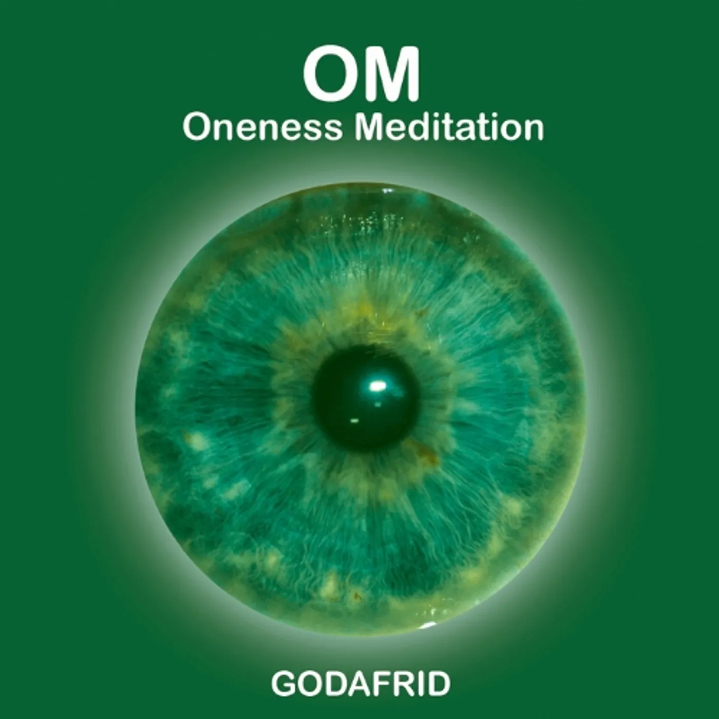 GODAFRID OM ONENESS MEDITATION CD