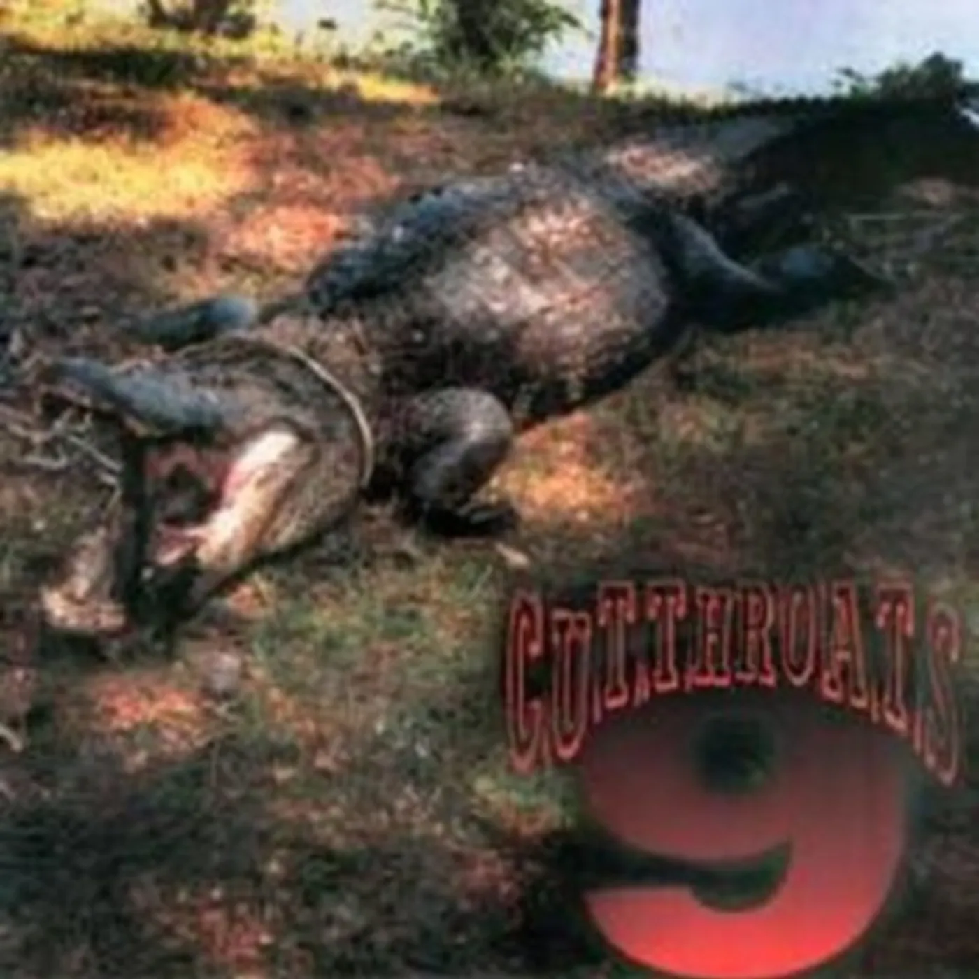 The Cutthroats 9 YOU SHOULD BE DEAD / CAN'T DO A THING Vinyl Record