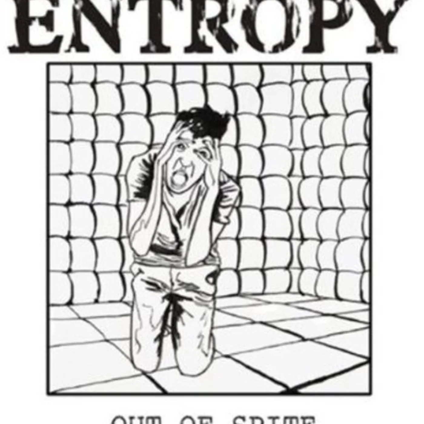 Entropy OUT OF SPITE Vinyl Record