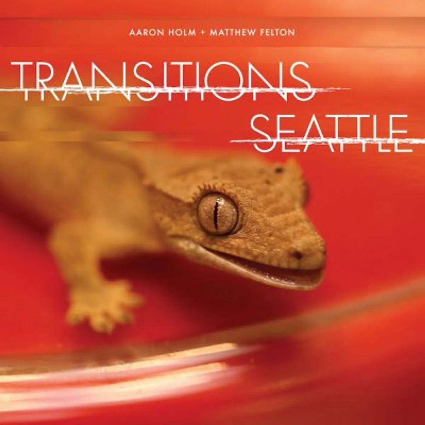 Aaron Holm / Matthew Felton Transitions Seattle Vinyl Record