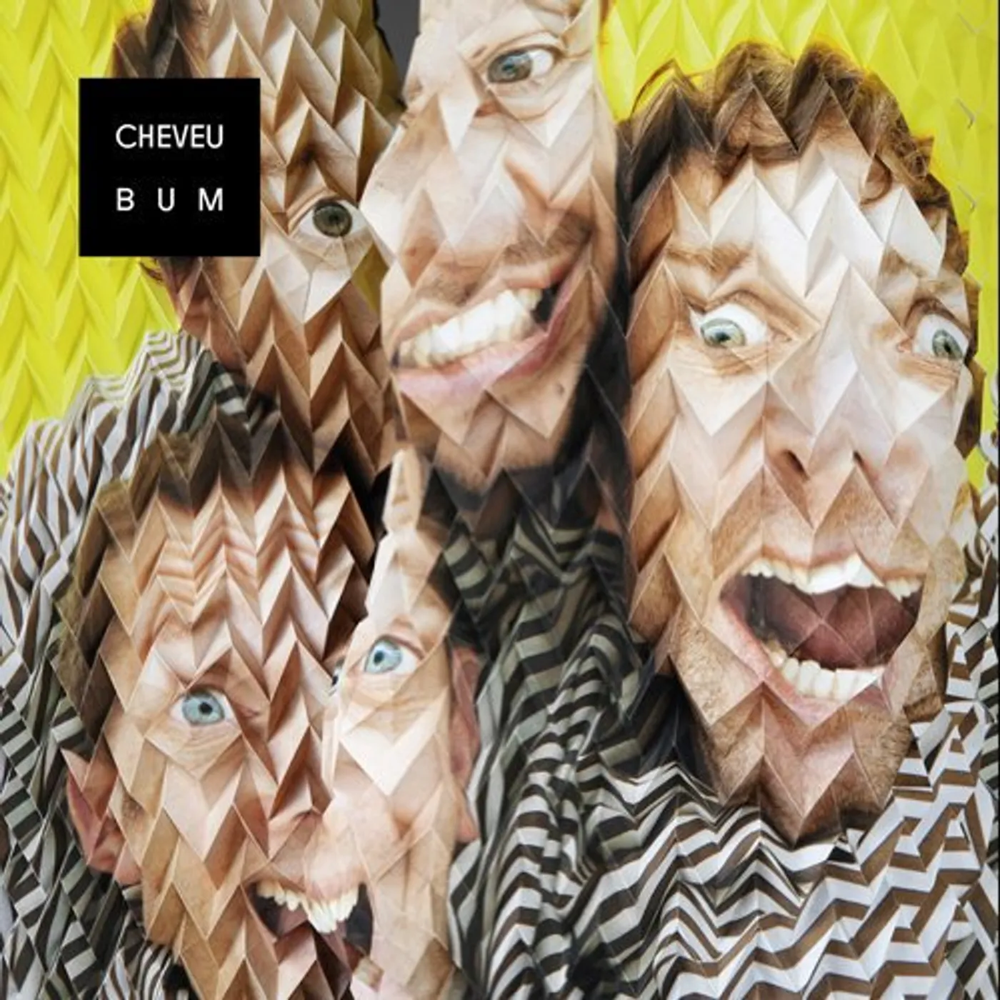 Cheveu Bum Vinyl Record