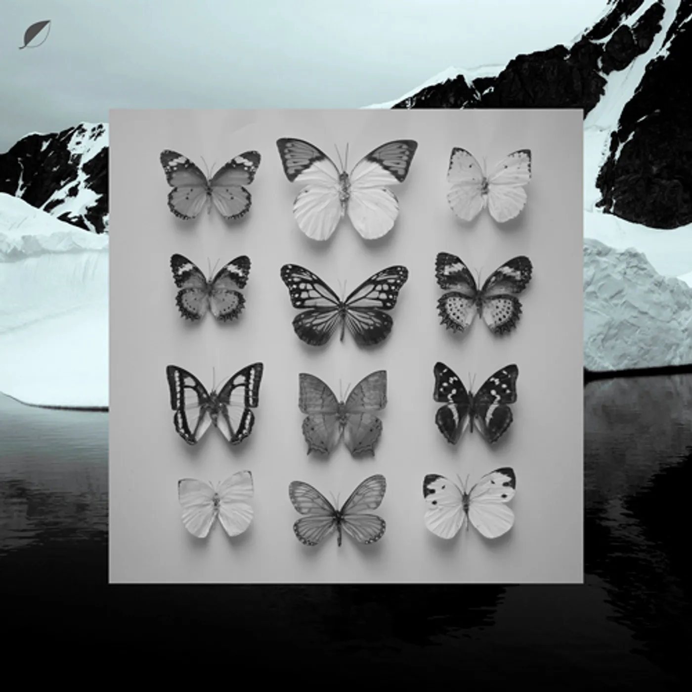Christian Löffler YOUNG ALASKA (WSV) Vinyl Record