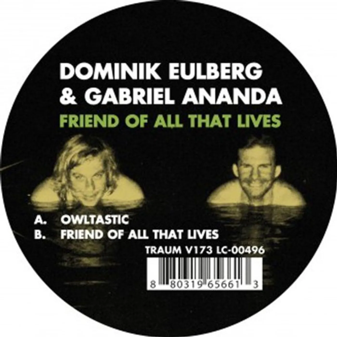 Domikin Eulberg & Gabriel Ananda Friend Of All That Lives Vinyl Record
