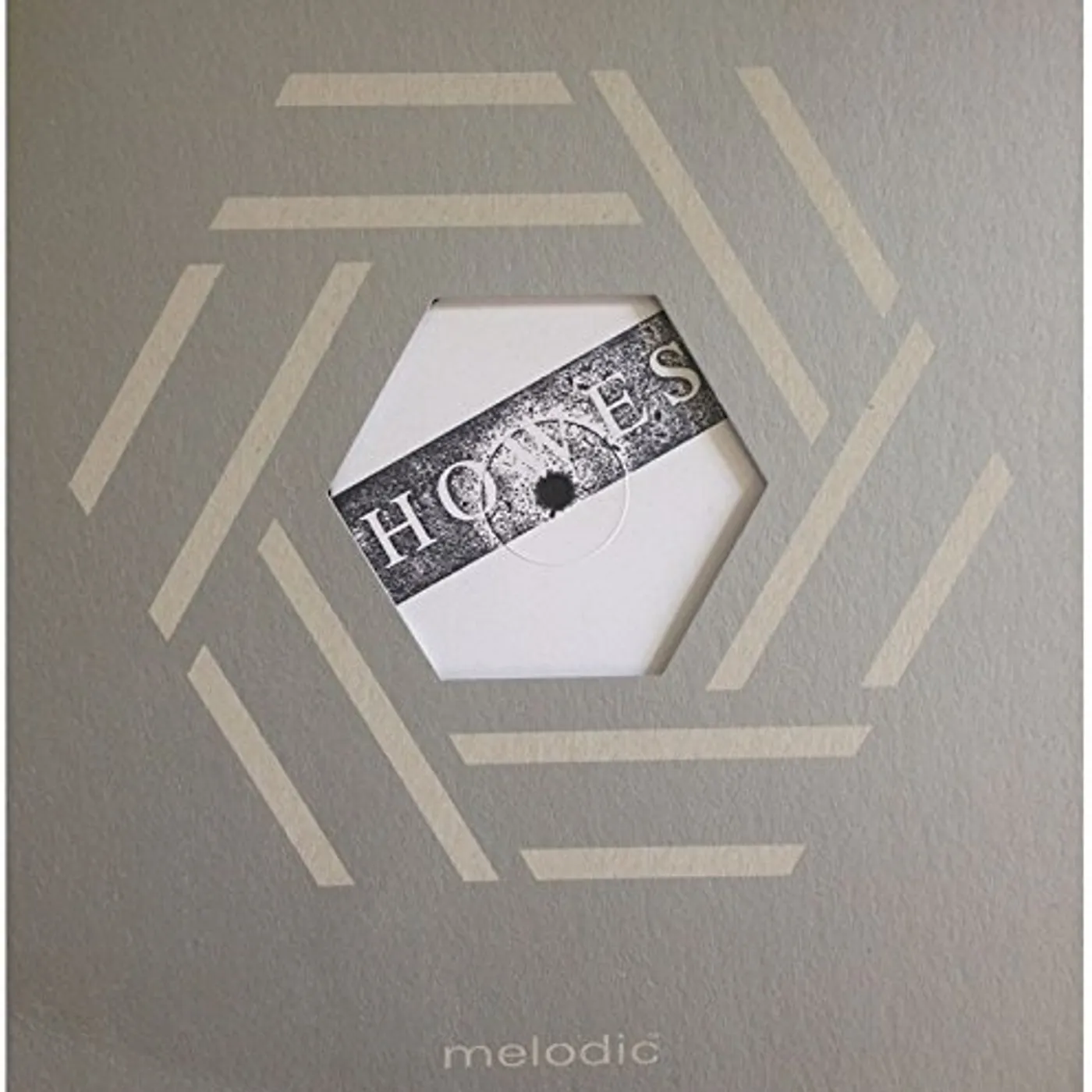 Howes TD-W700/LEAZES Vinyl Record