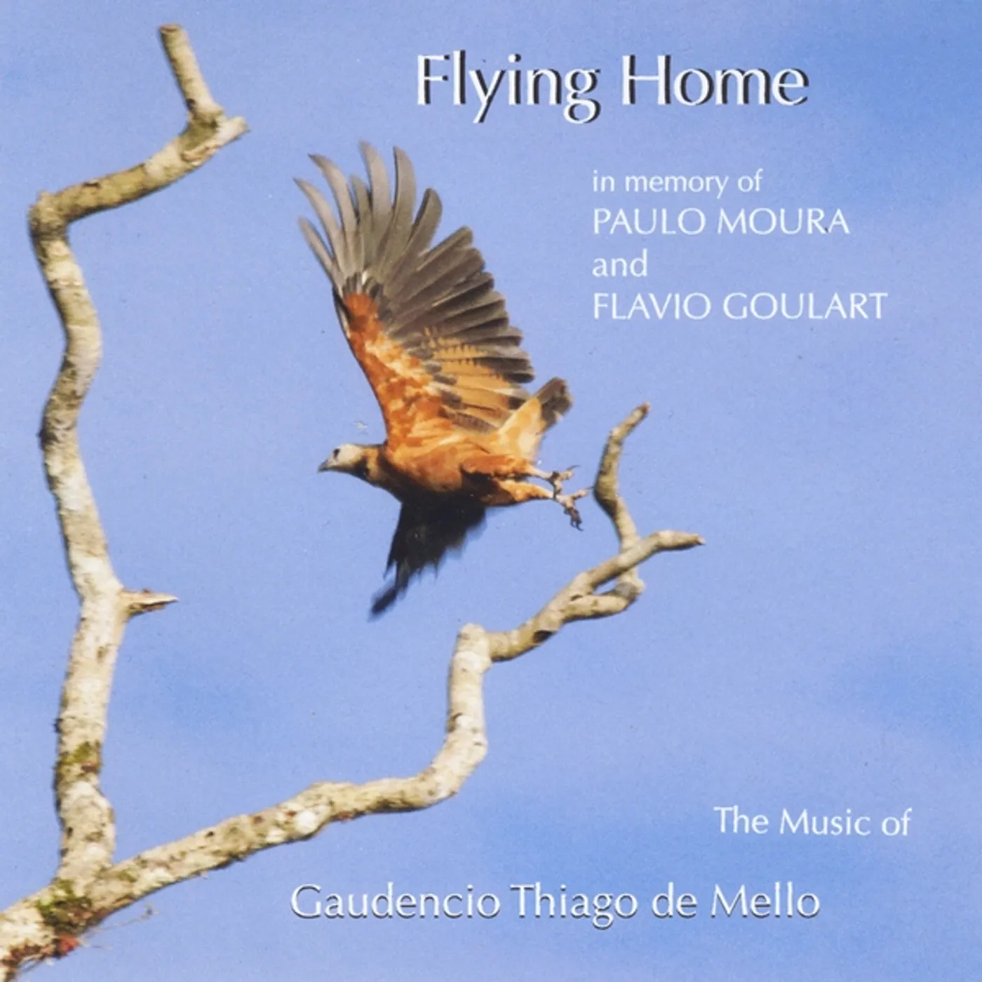 Gaudencio Thiago De Mello FLYING HOME CD