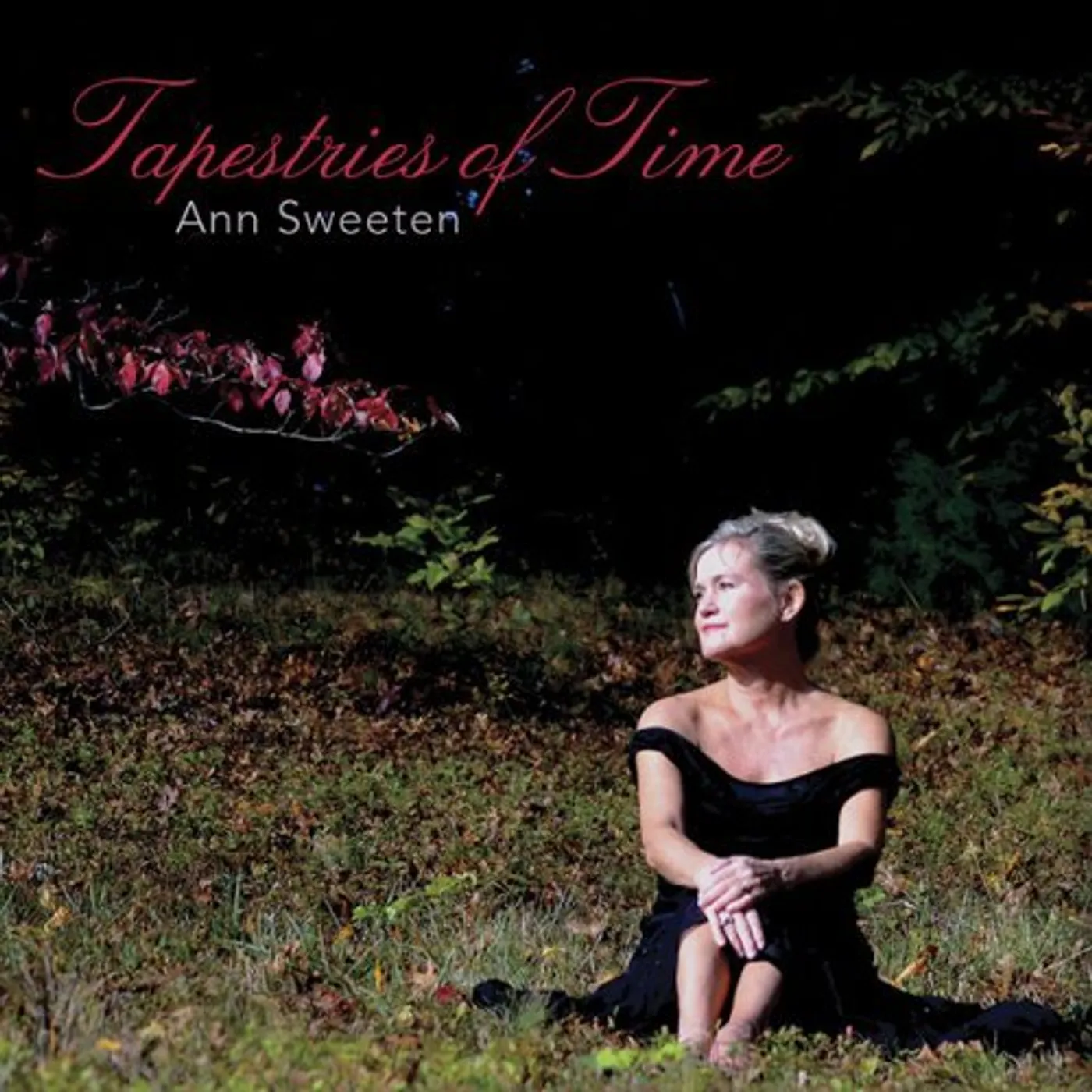 Ann Sweeten TAPESTRIES OF TIME CD