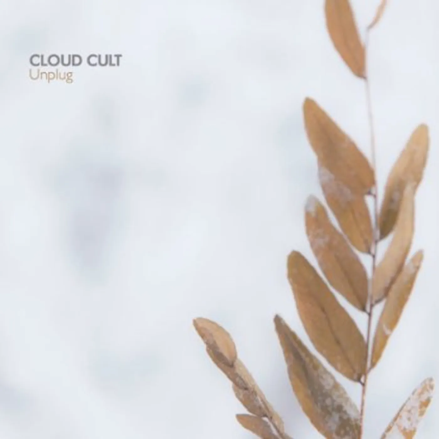 Cloud Cult UNPLUG CD