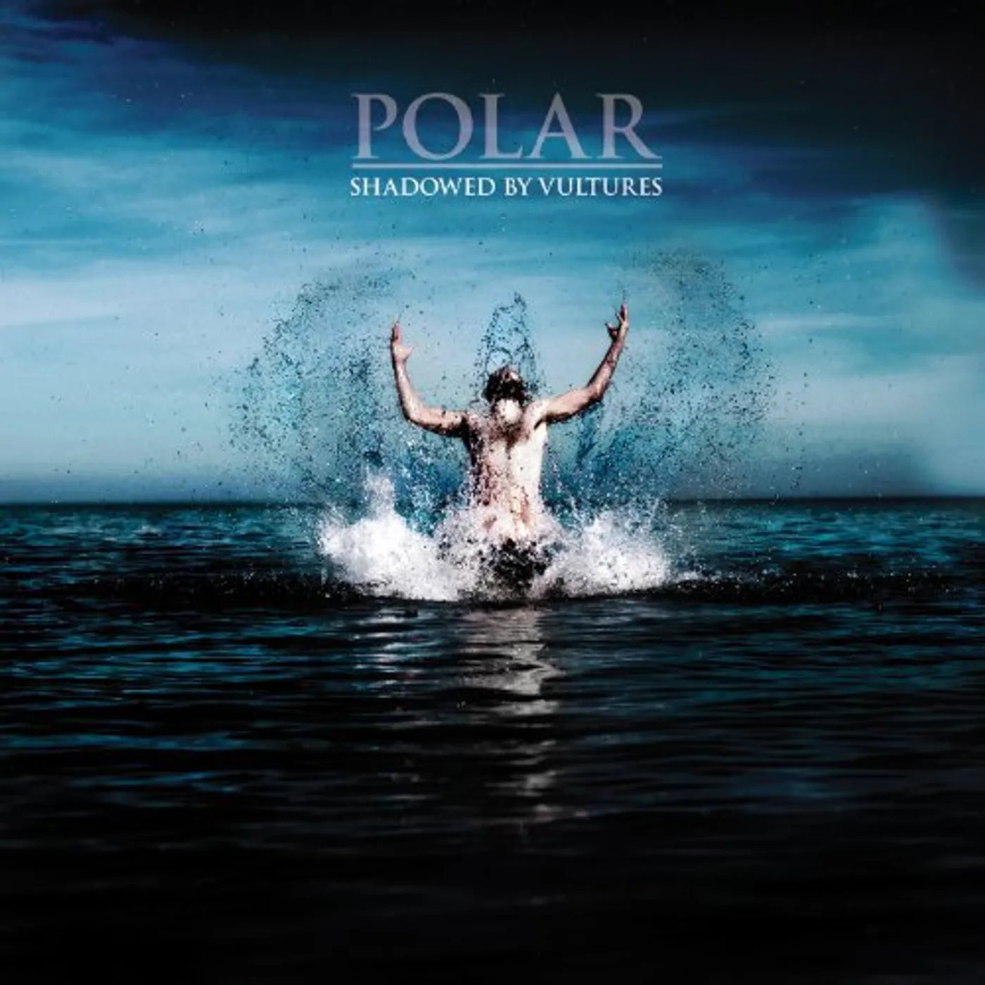 Polar Shadowed by Vultures Vinyl Record