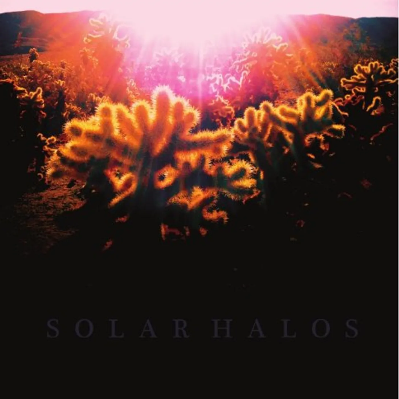 Solar Halos Vinyl Record