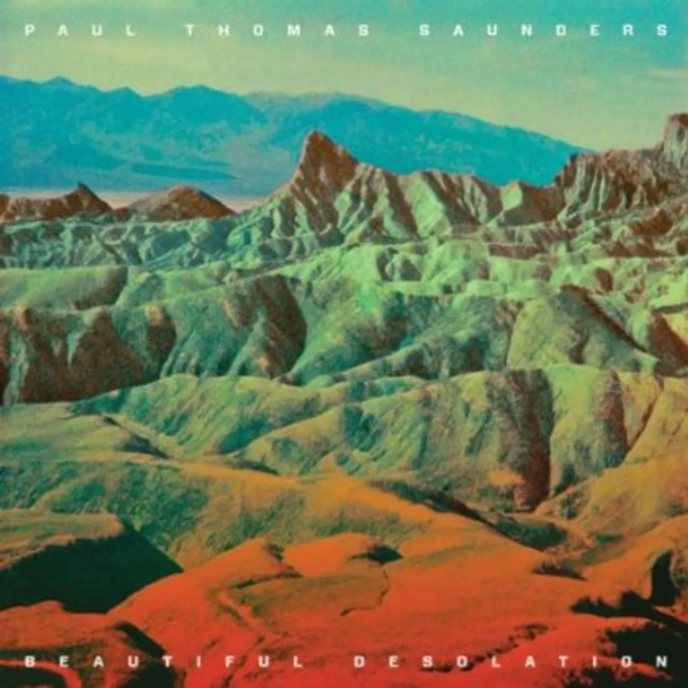 Paul Thomas Saunders Beautiful Desolation Vinyl Record