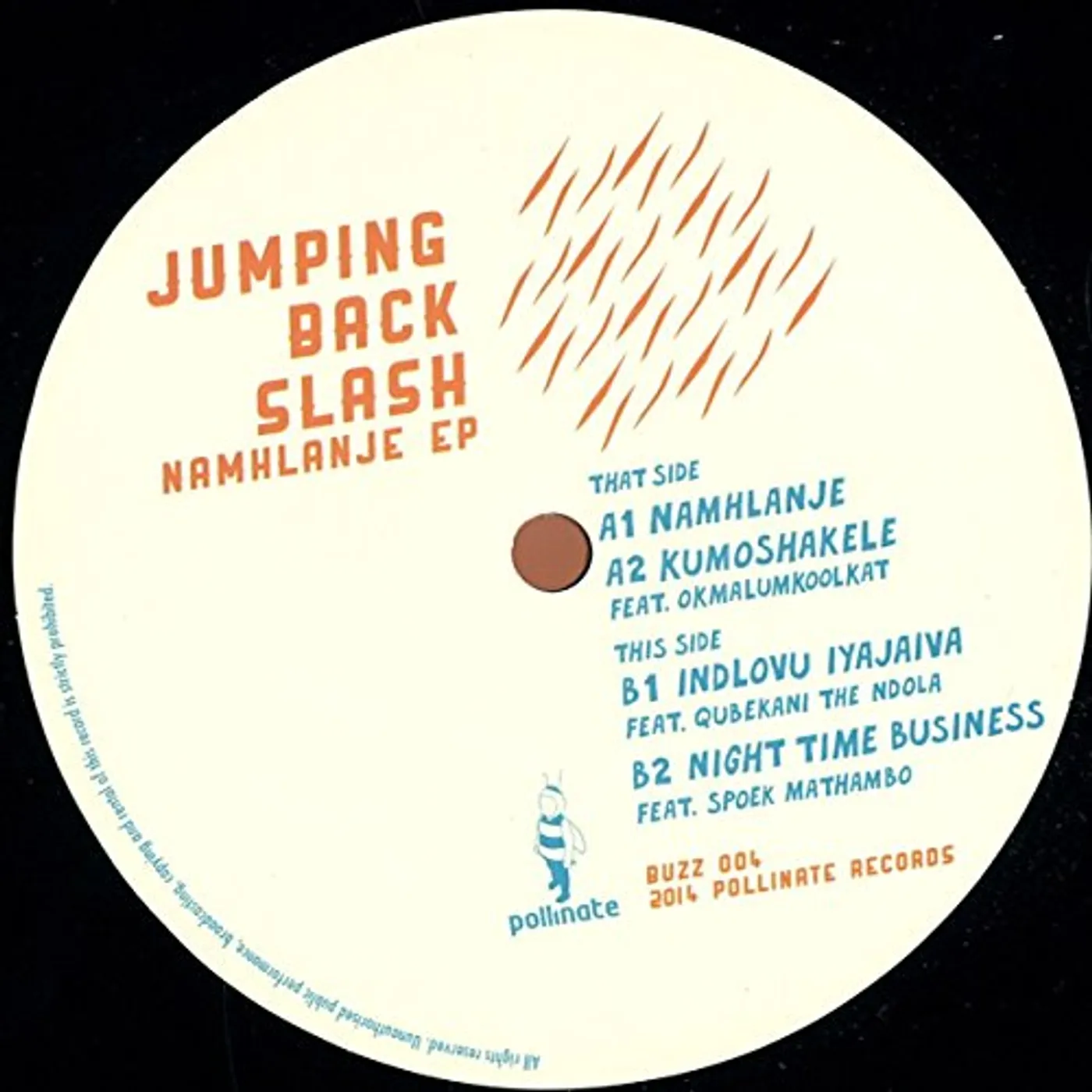 NAMHLANJE Vinyl Record