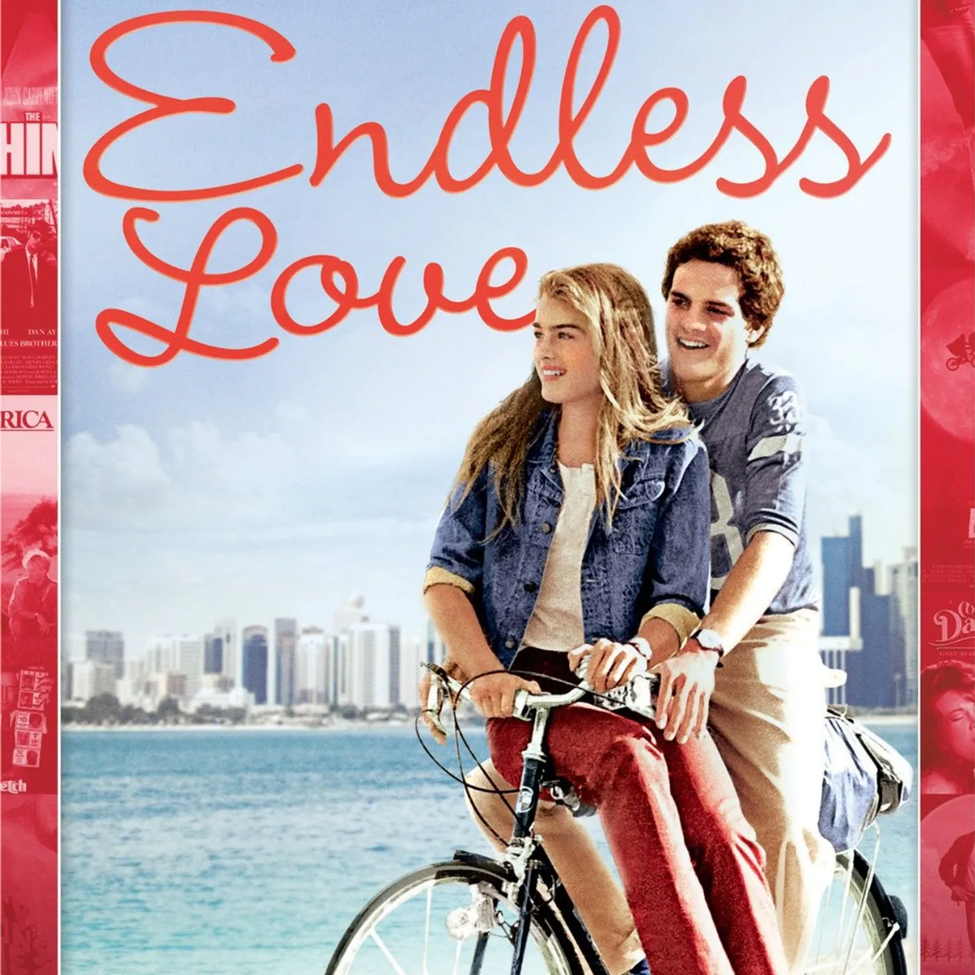 ENDLESS LOVE (1981) DVD