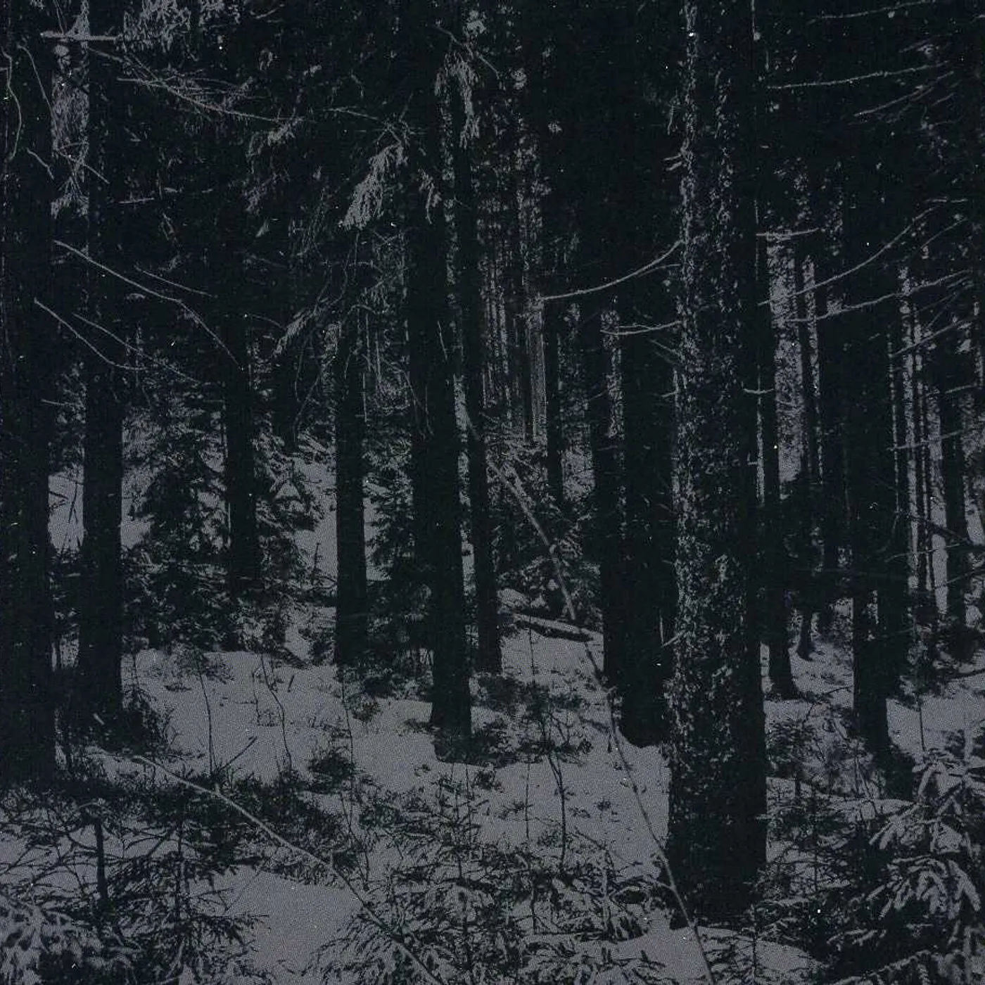 Moloch ABSTRAKTER WALD CD