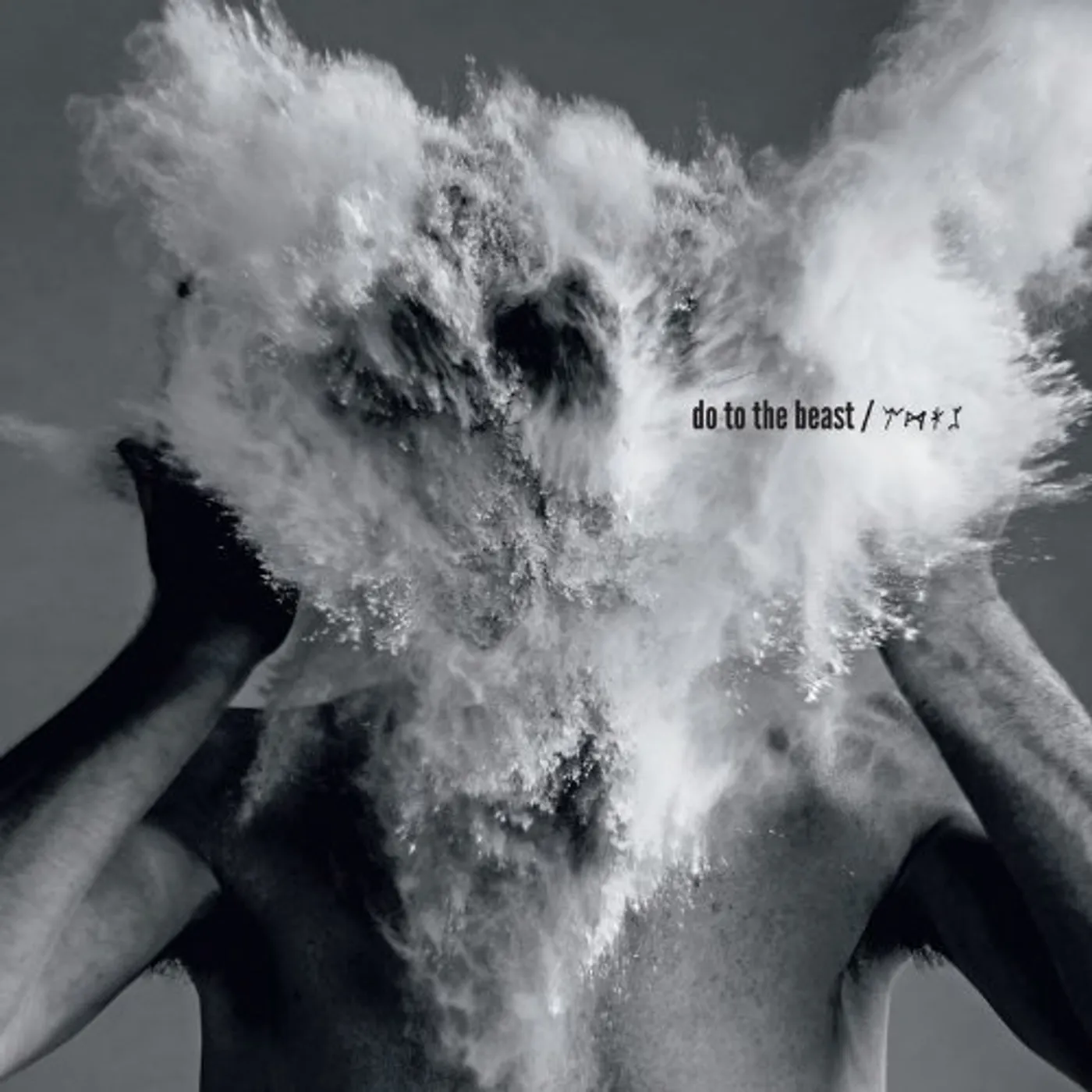 The Afghan Whigs Do to the Beast Vinyl Record