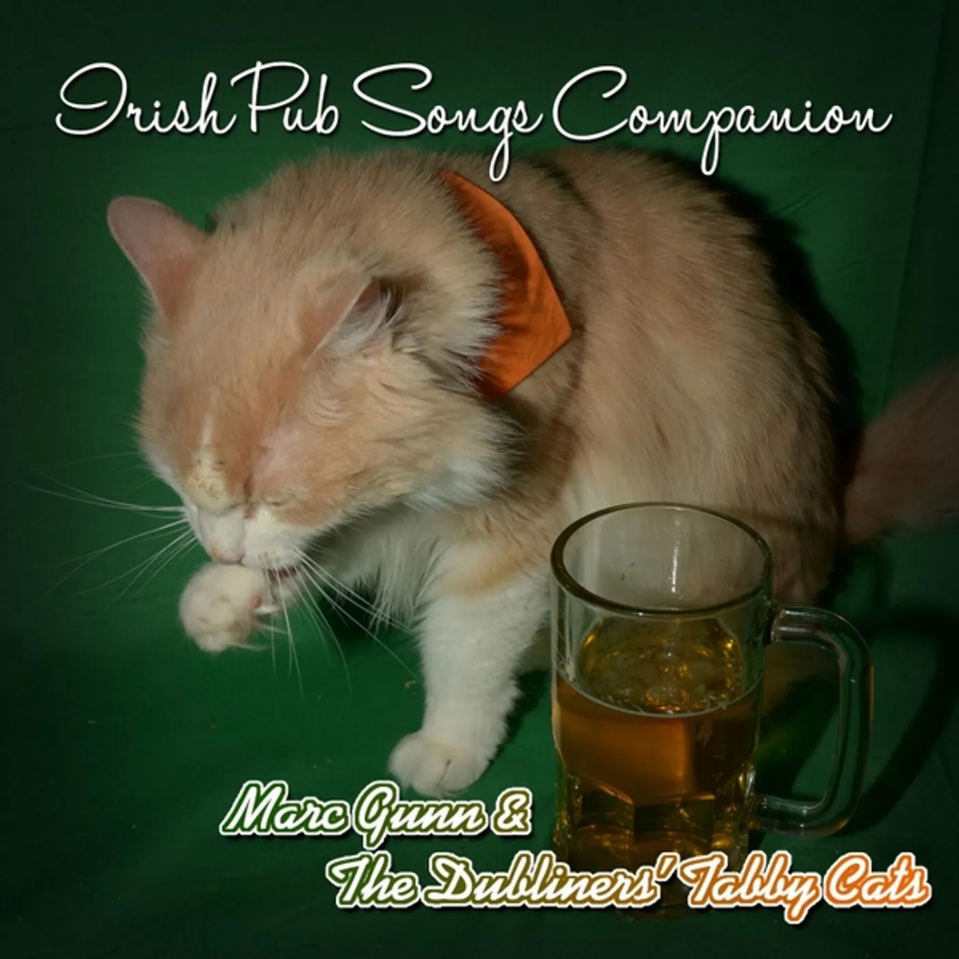 Marc Gunn IRISH PUB SONGS COMPANION CD