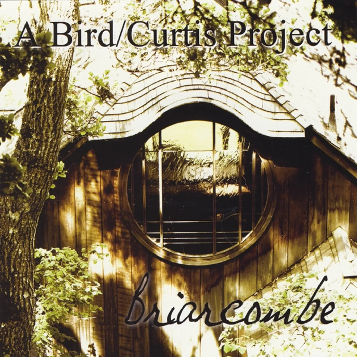 Henry Adam Curtis BRIARCOMBE CD